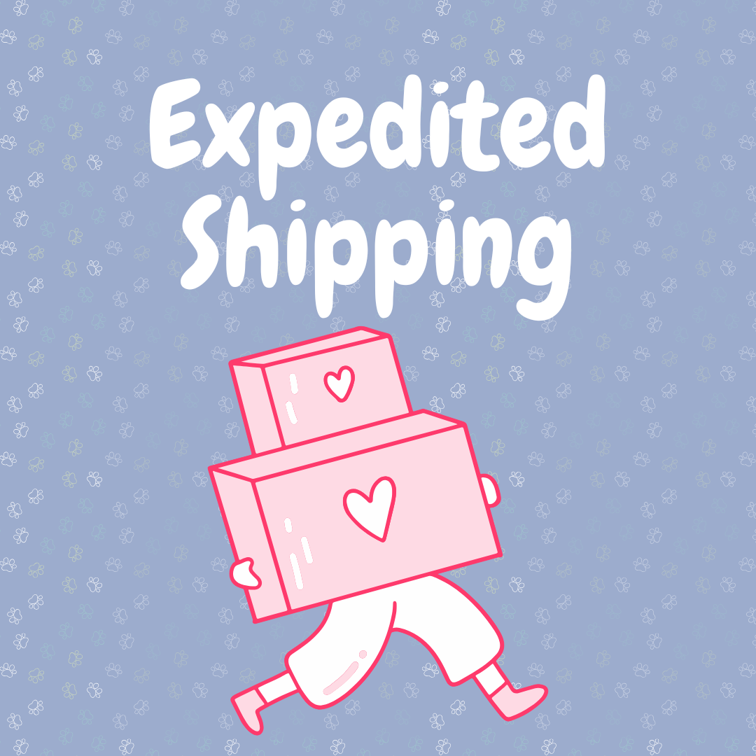 Expedited Shipping for Emergency Cones