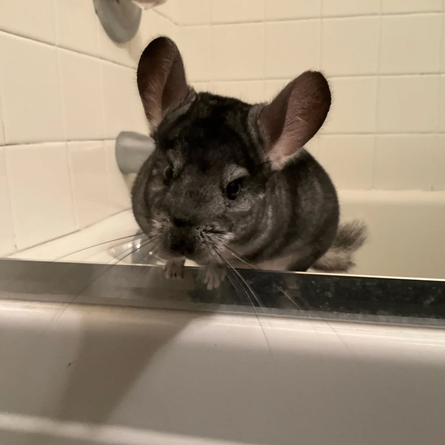 632272242_18562328764045412_252066604332358238_n.jfif