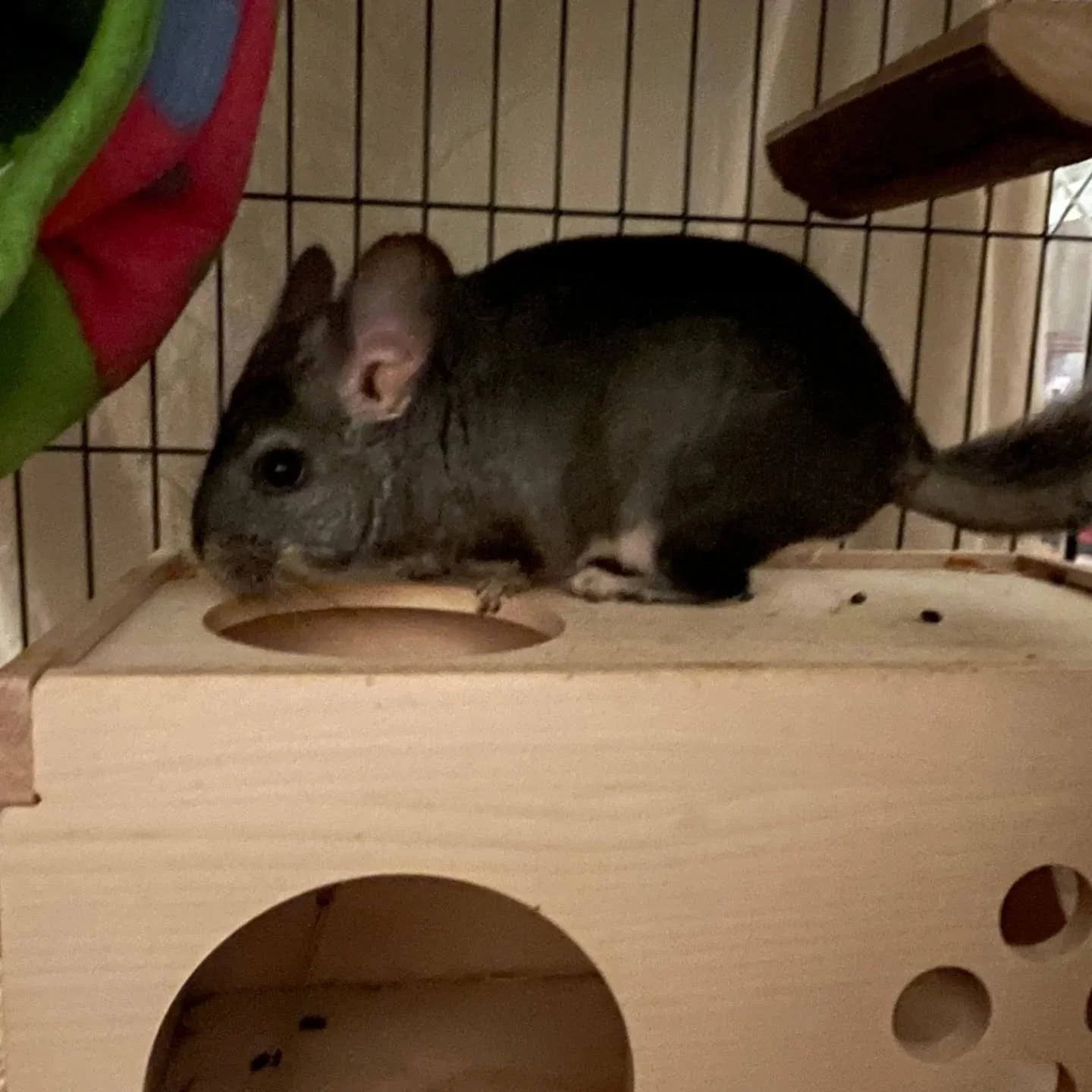 631408746_18563558998045412_2332864431140439025_n.jfif