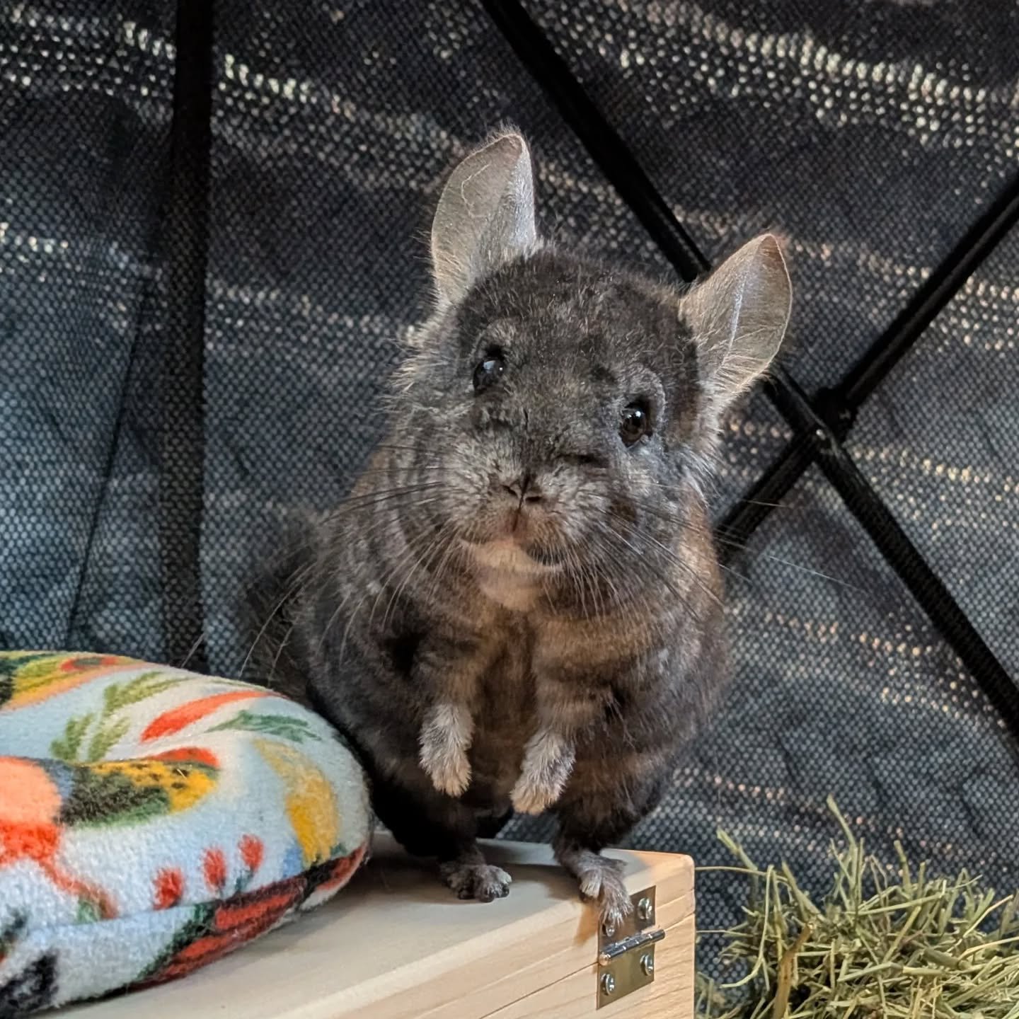 656712865_18577870897045412_1314087425241064624_n.jfif