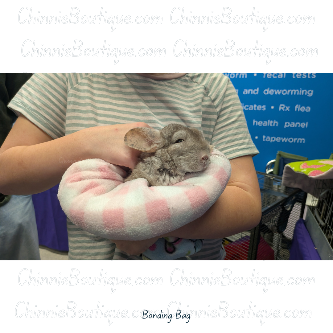 10.png (Copy) (Copy) (Copy)