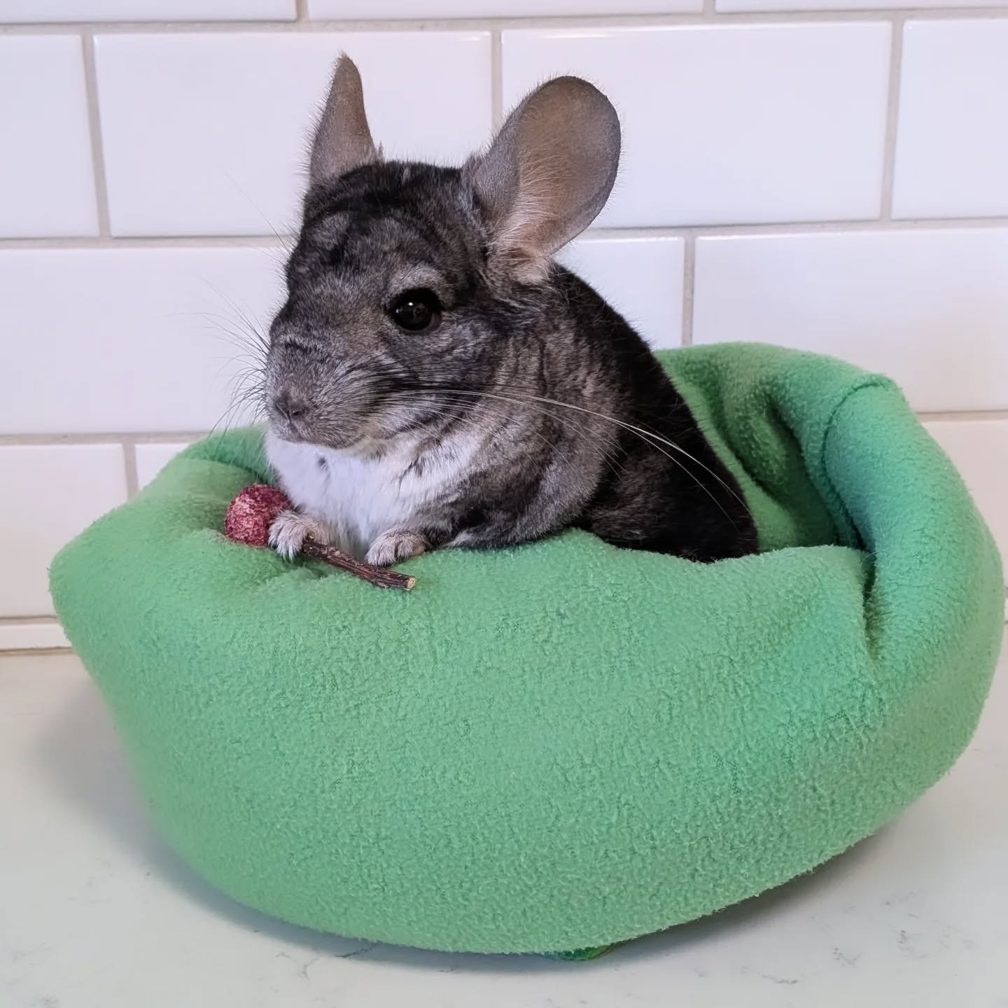 656580315_18578700568045412_6877123552036687256_n.jfif