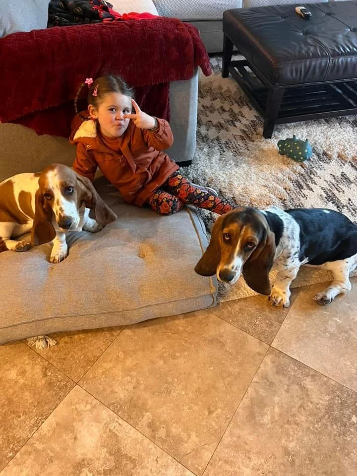 Little girl holding up a peace sign, with her two basset hounds.