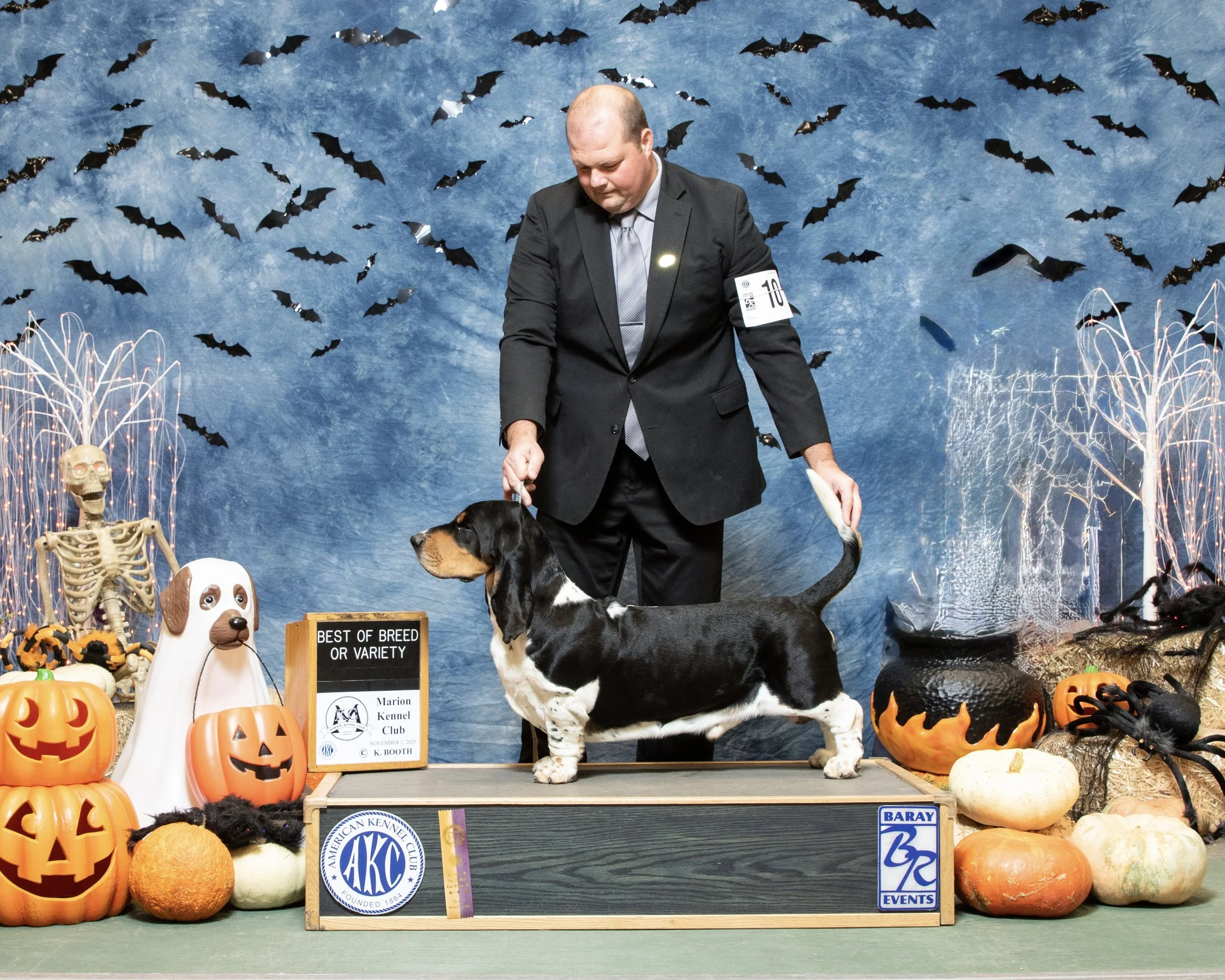 GCH CH Jasper Out West, Best Of Breed, Marion Kennel Club