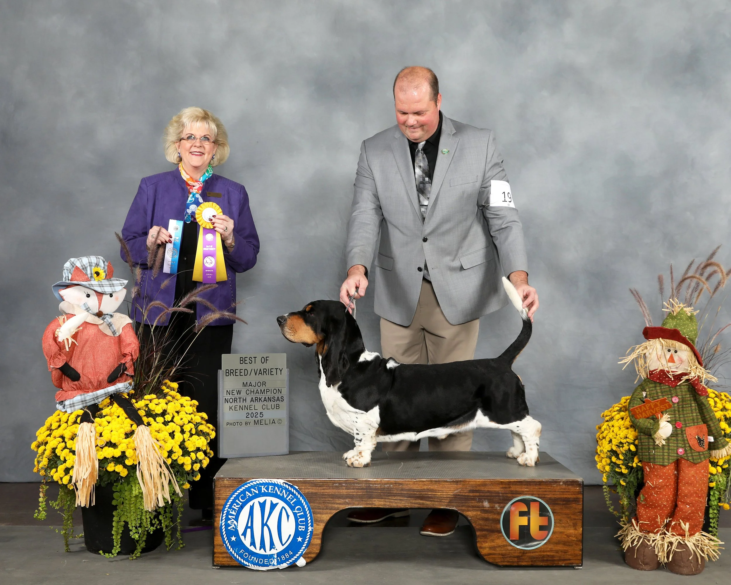 GCH CH Jasper Out West, Best of Breed, North Arkansas Kennel Club