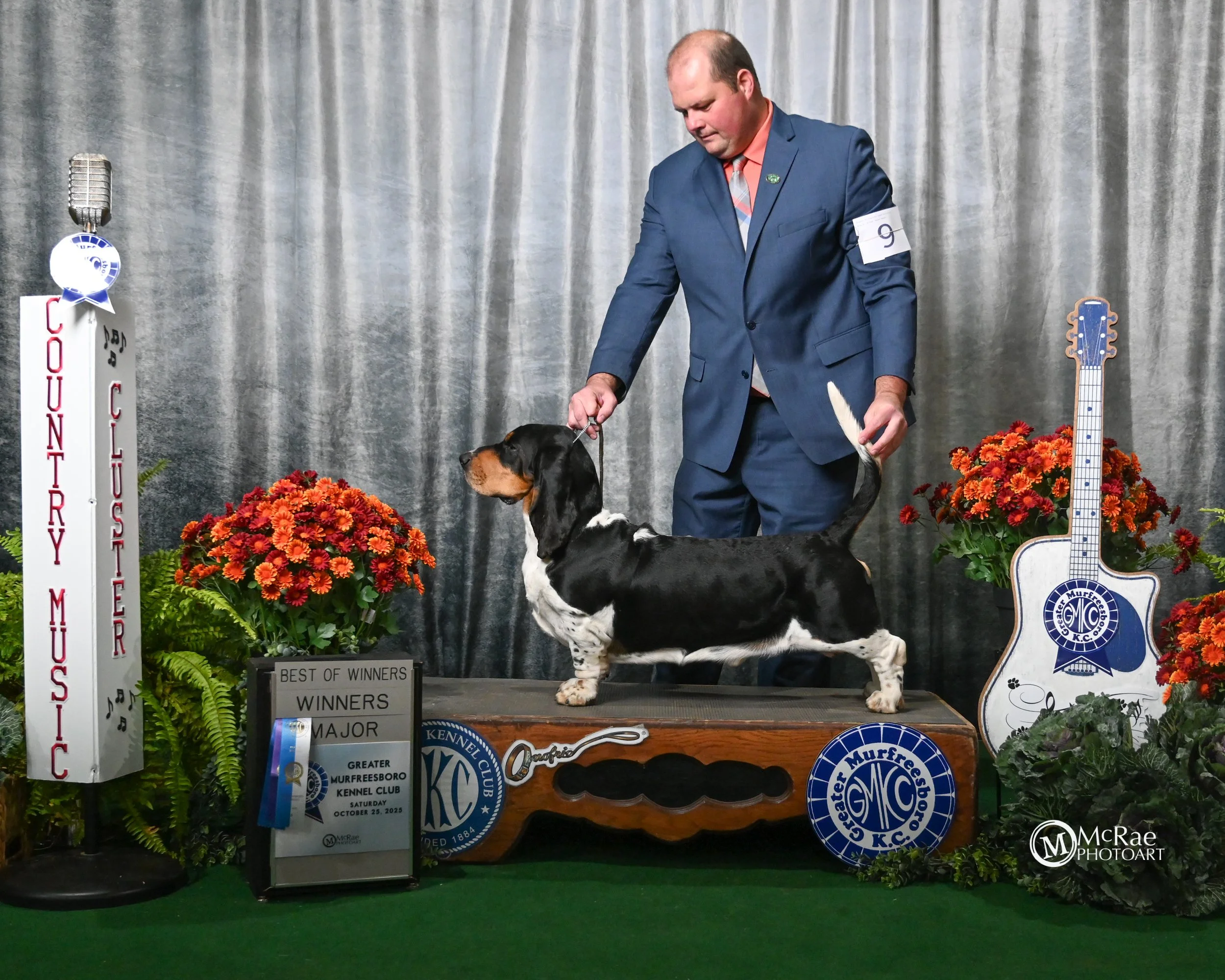 GCH CH Jasper Out West, Best Of Winners, Greater Murfreesboro Kennel Club
