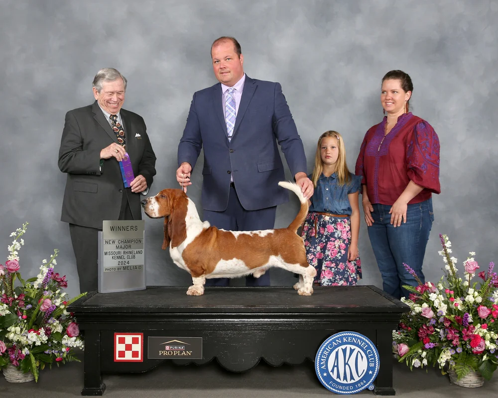 Meet Our Basset Hounds — Out West Bassets