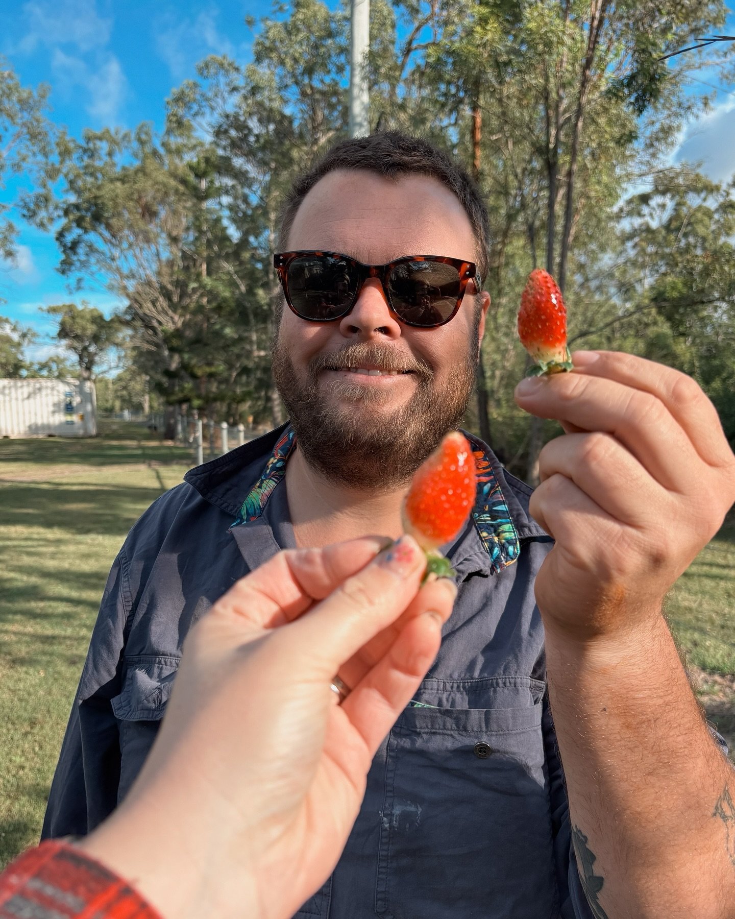 Cheeeers. 🍓 @bradcoxofficial