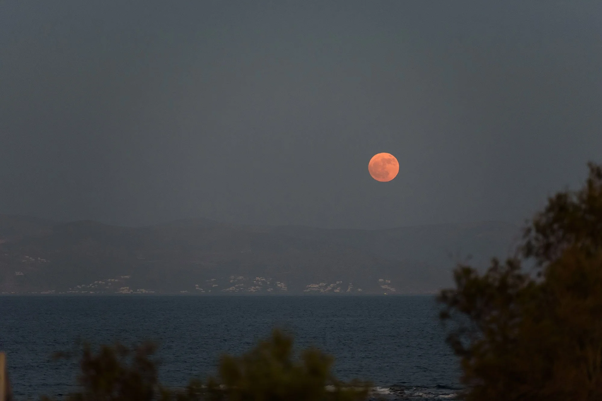 69 SeaPearls-270.jpg