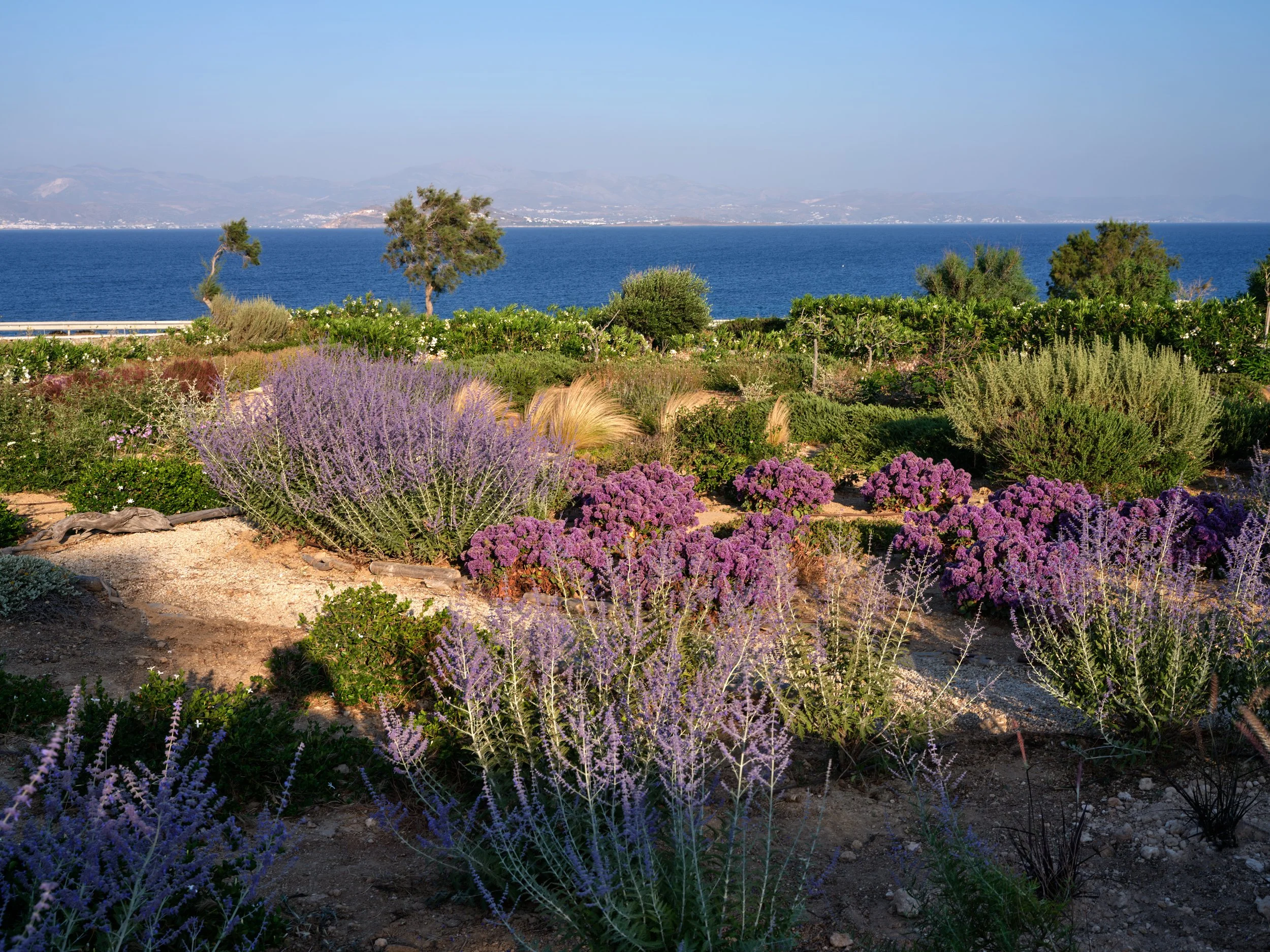 DSCF4025.jpg
