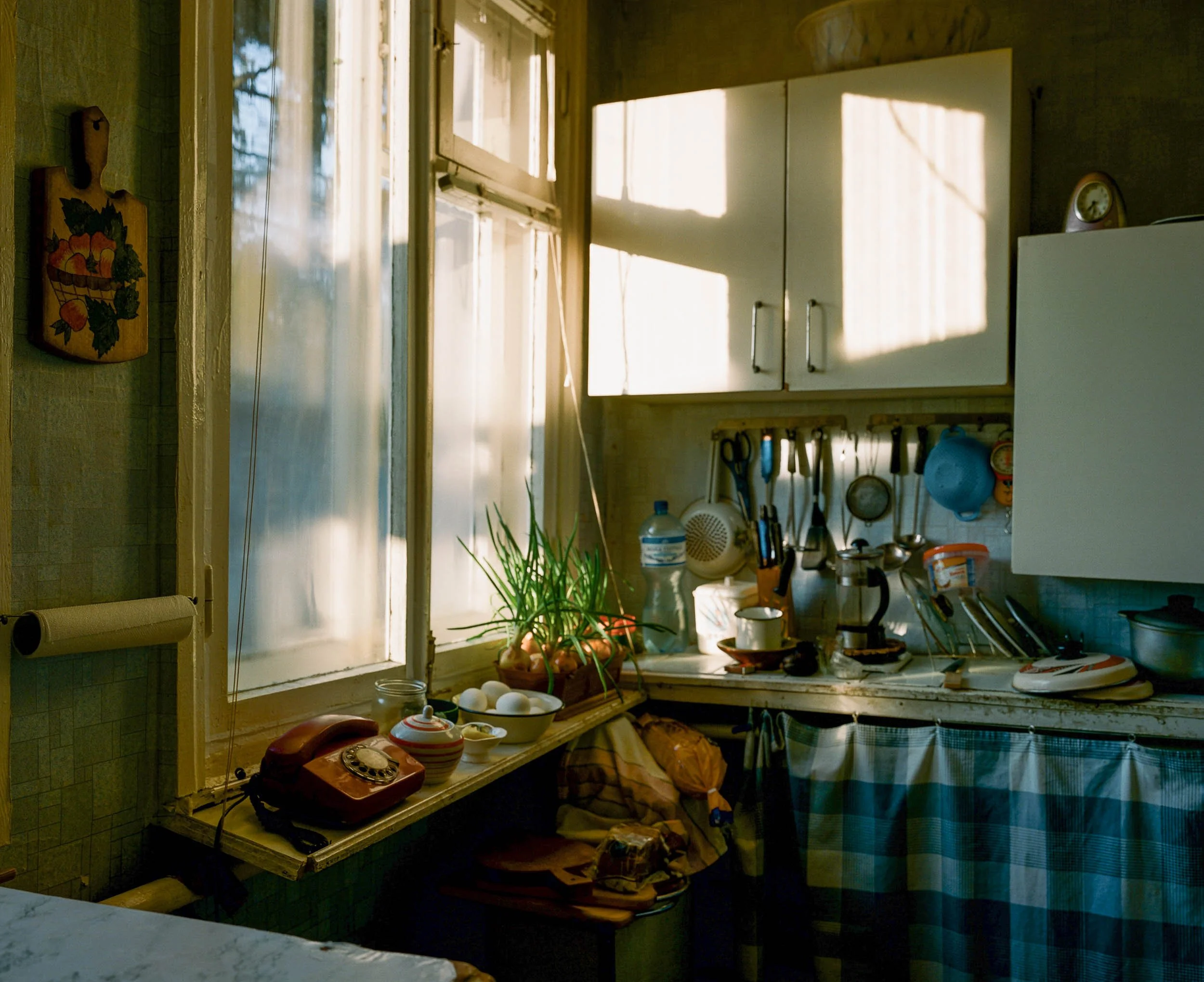 An environmental documentary photograph of a cozy kitchen illuminated by sunlight through a large window, with shelves holding kitchen utensils, a potted plant, bowls, and an old rotary phone on the windowsill.