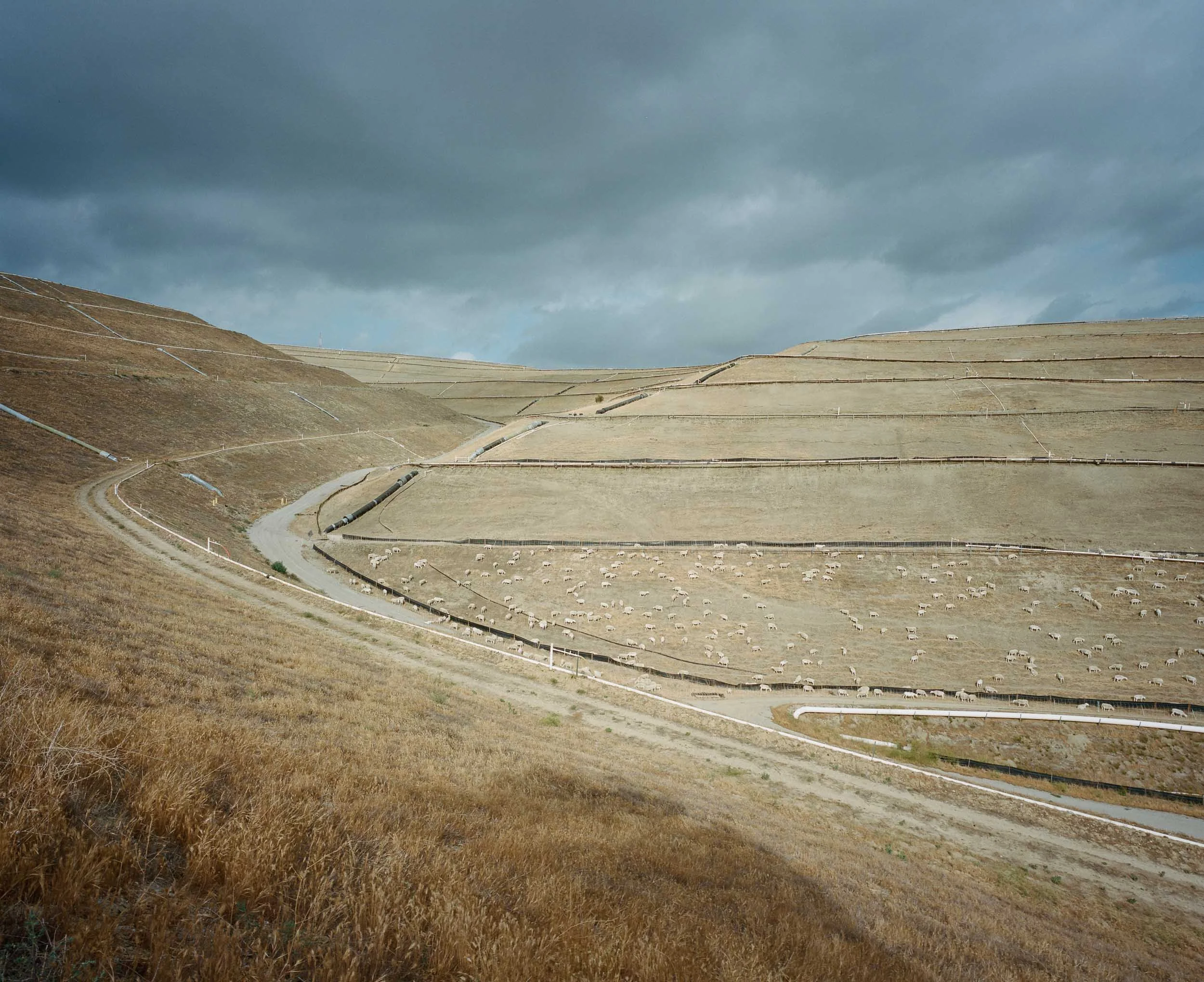 A landscape photograph of a hilly landscape of a land fill with dry grass, winding dirt road, and fenced patches, cloudy sky overhead, sheep grazing in the fields.