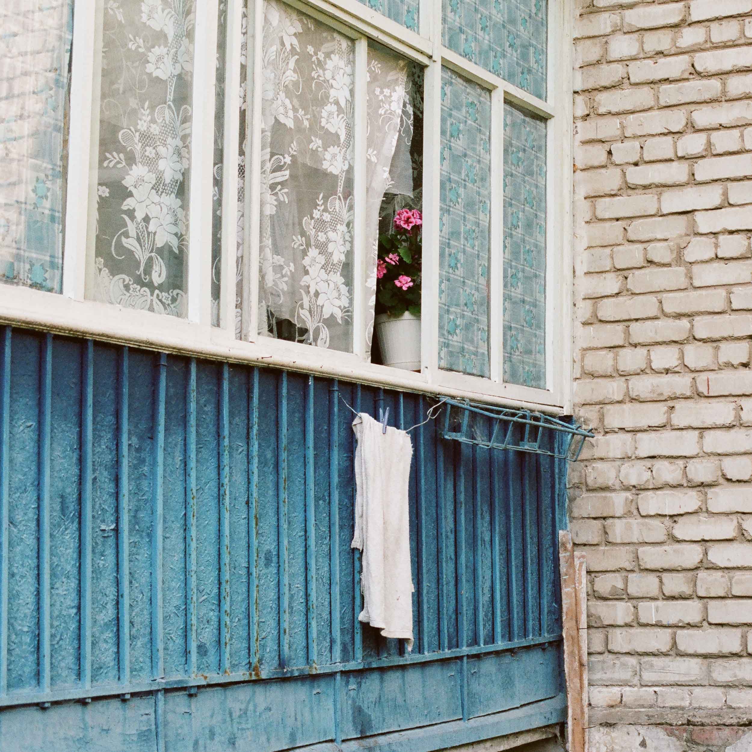 A photograph of windows with lace curtains, a pink potted flower, blue wooden siding, and brick wall of a house, with a towel hanging on a clothesline.