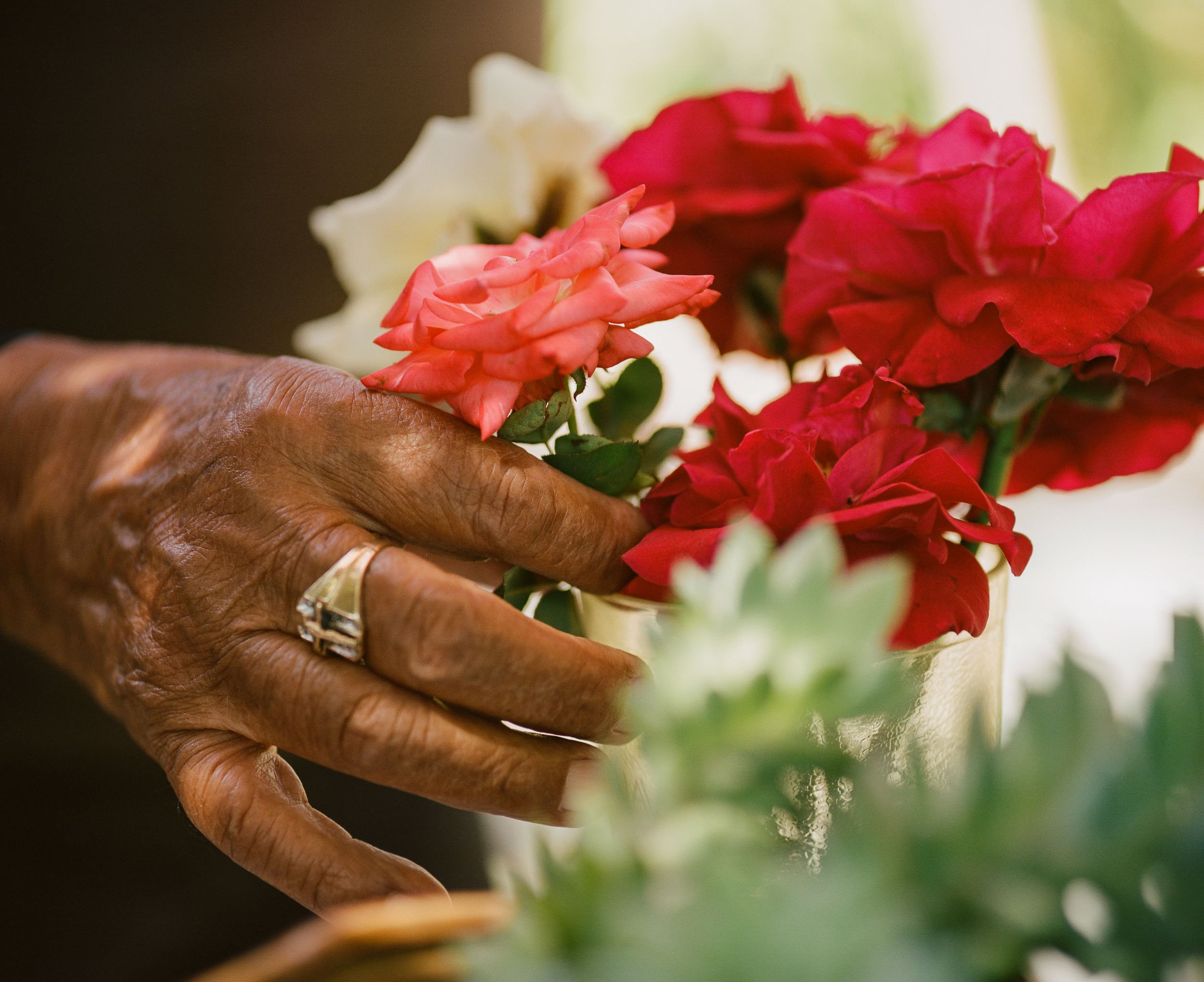 A detail photograph of a person's hand, wearing a silver ring, touches a bouquet of pink, red, and white flowers in a golden vase.