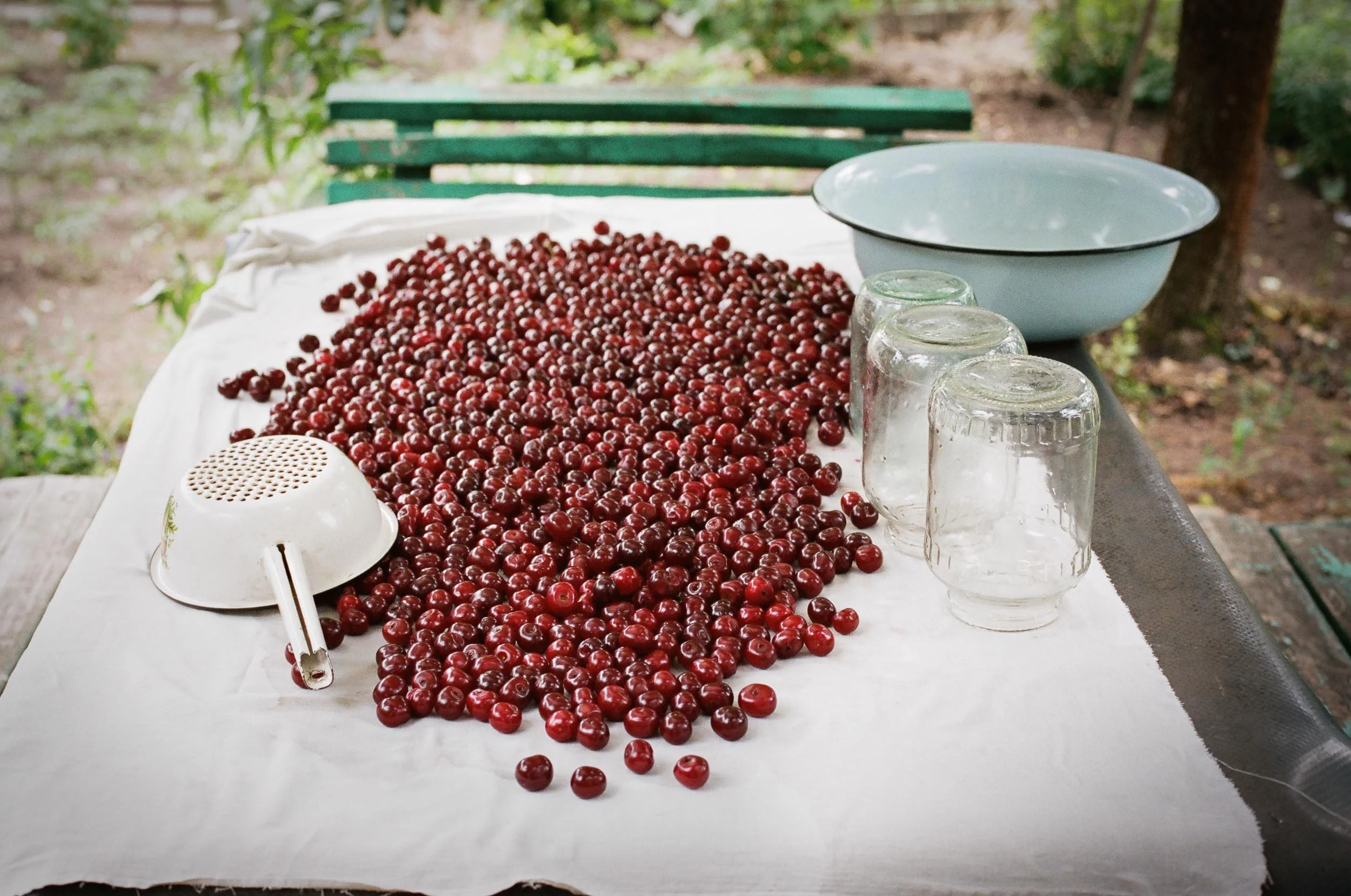 A detail photograph of a table outdoors with a large pile of fresh red berries, three upside-down glasses, a light blue bowl, and a white colander, set against a green garden background.