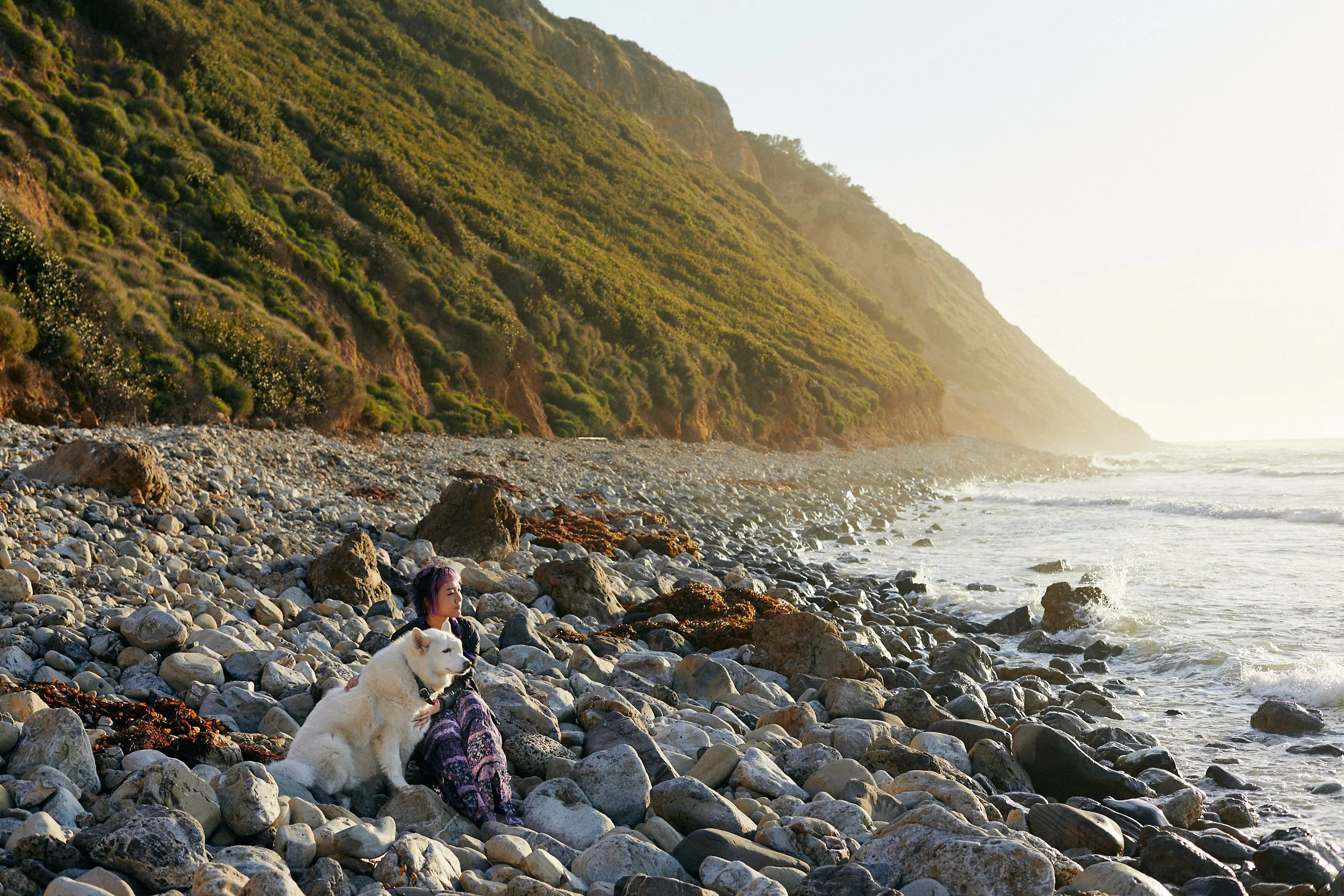 A wide environmental lifestyle portrait of a woman with purple hair sitting on a rocky beach next to a white dog, with a background of green hillside and the ocean during sunset.