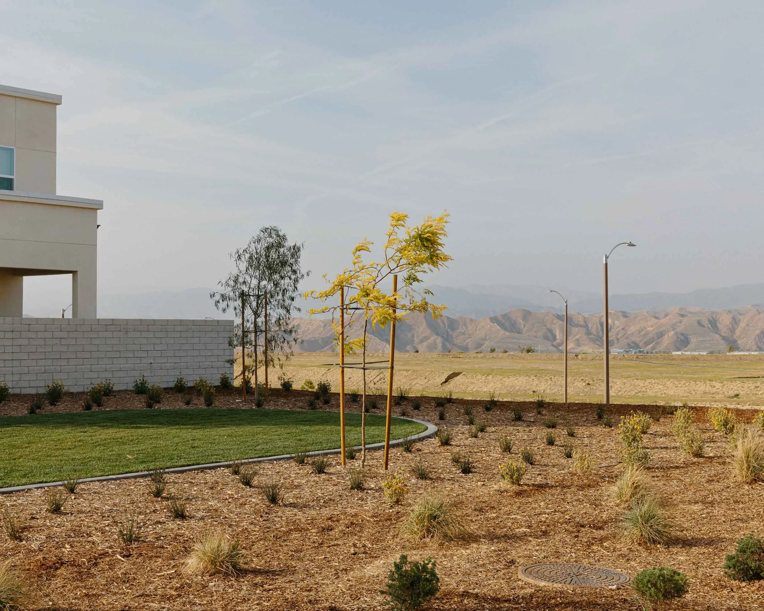A landscape photograph showing young trees, small bushes, and a grassy area in the foreground, a building on the left, a white brick wall, and streetlights against a backdrop of distant mountains and a blue sky.