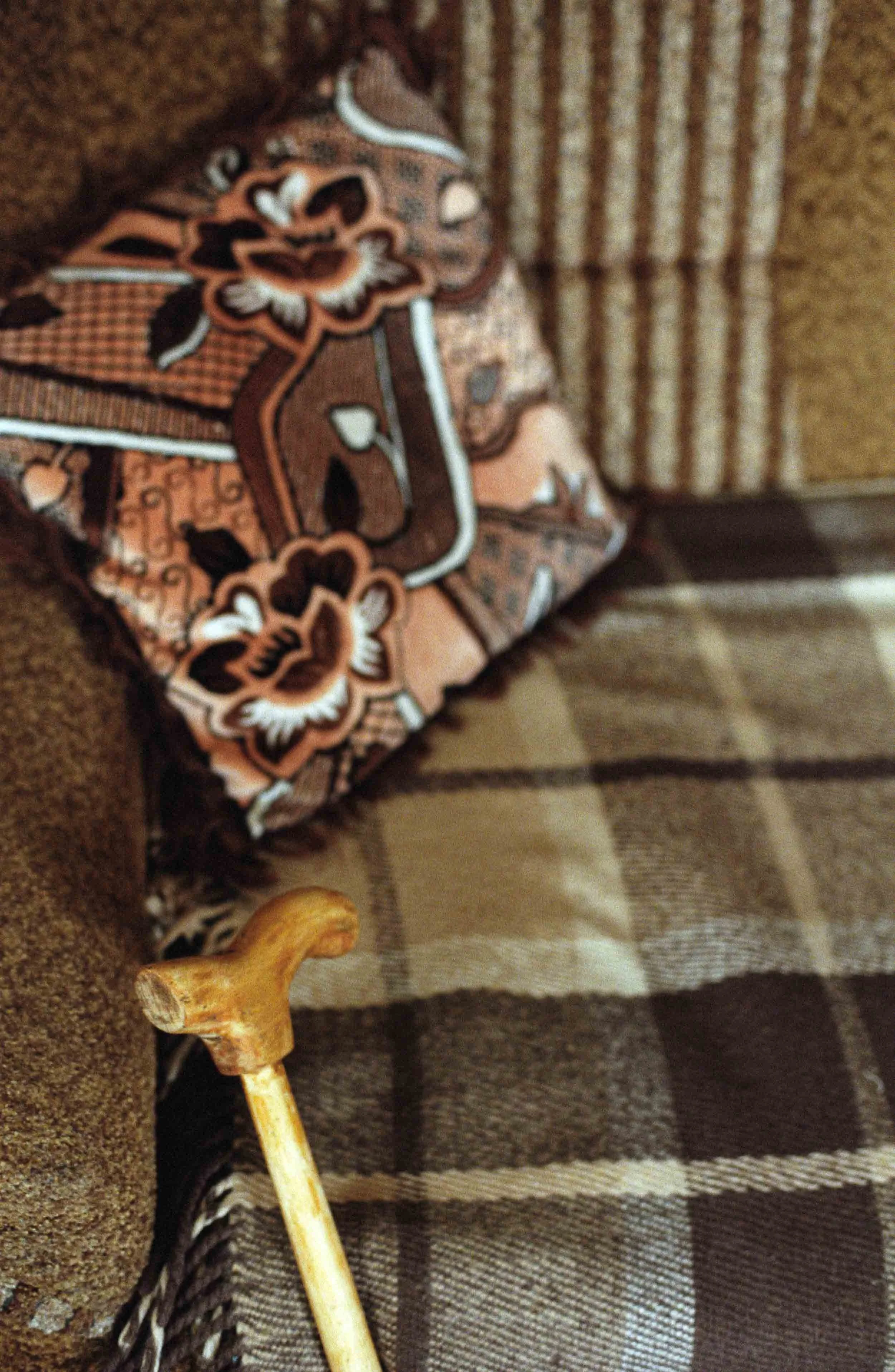 A detail documentary still life photograph of patterned decorative pillow and a wooden walking cane on a plaid fabric and a carpeted surface.