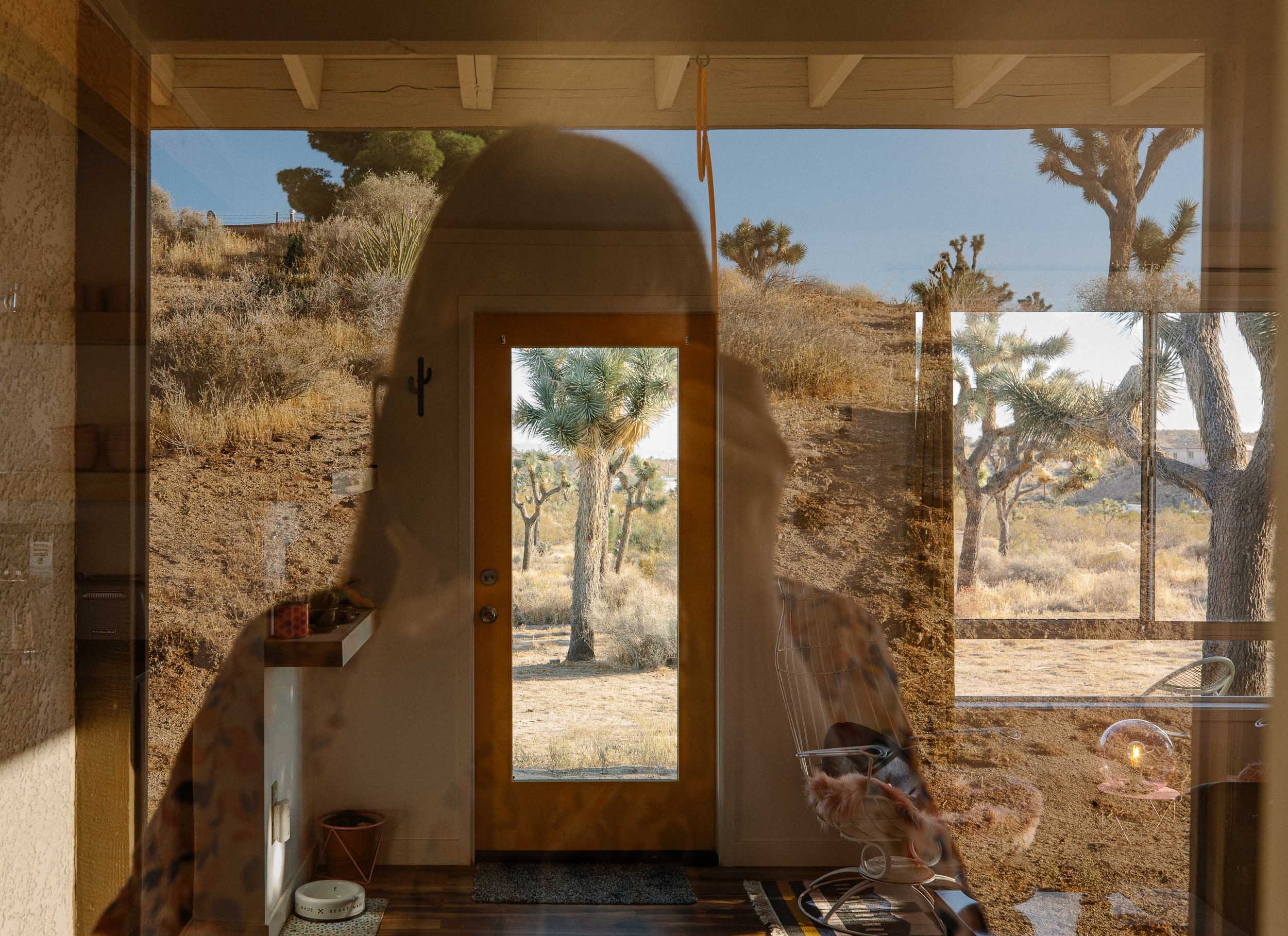 A commercial photograph of a reflective view of a desert landscape with Joshua trees, seen through a glass door and window, with a person’s silhouette visible in the reflection.