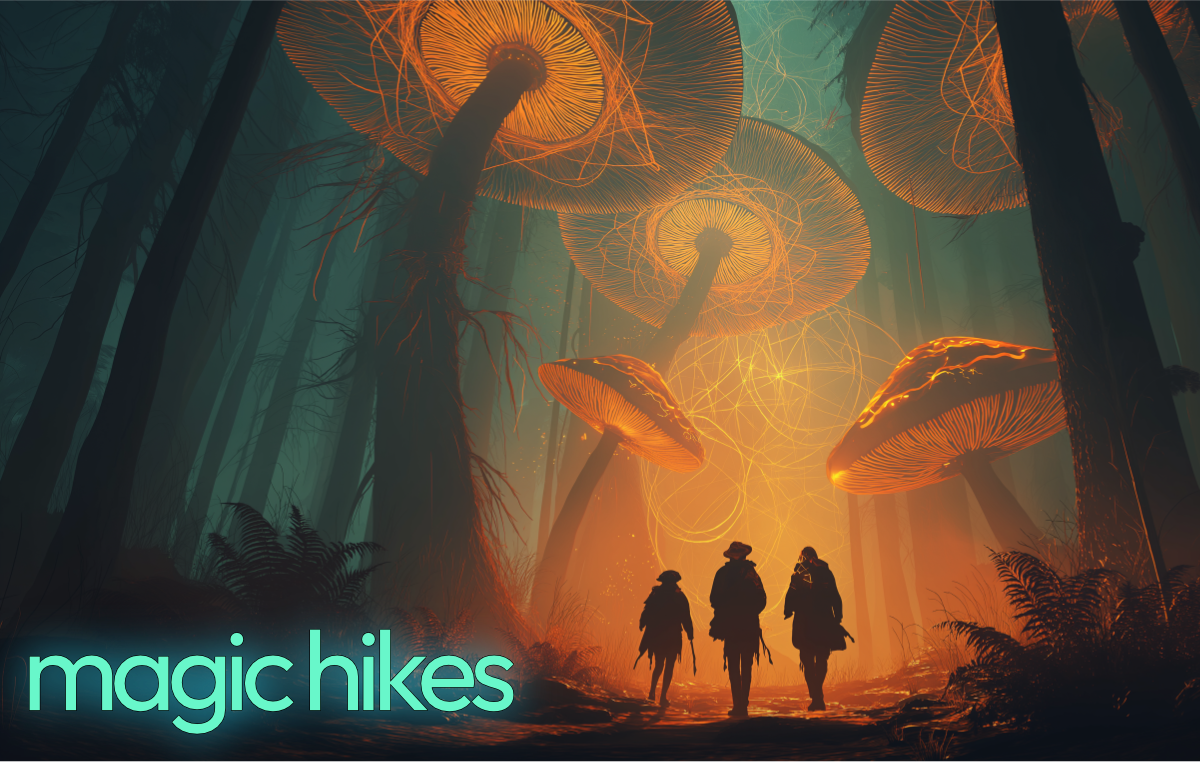 Magic Hike - Santa Cruz
