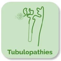 3.4: Tubulopathies