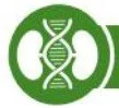 3.1: An overview of Genetic Kidney Diseases