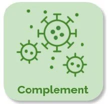 3.6: Complement Disorders