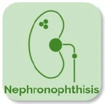 3.7: Nephrolithiasis