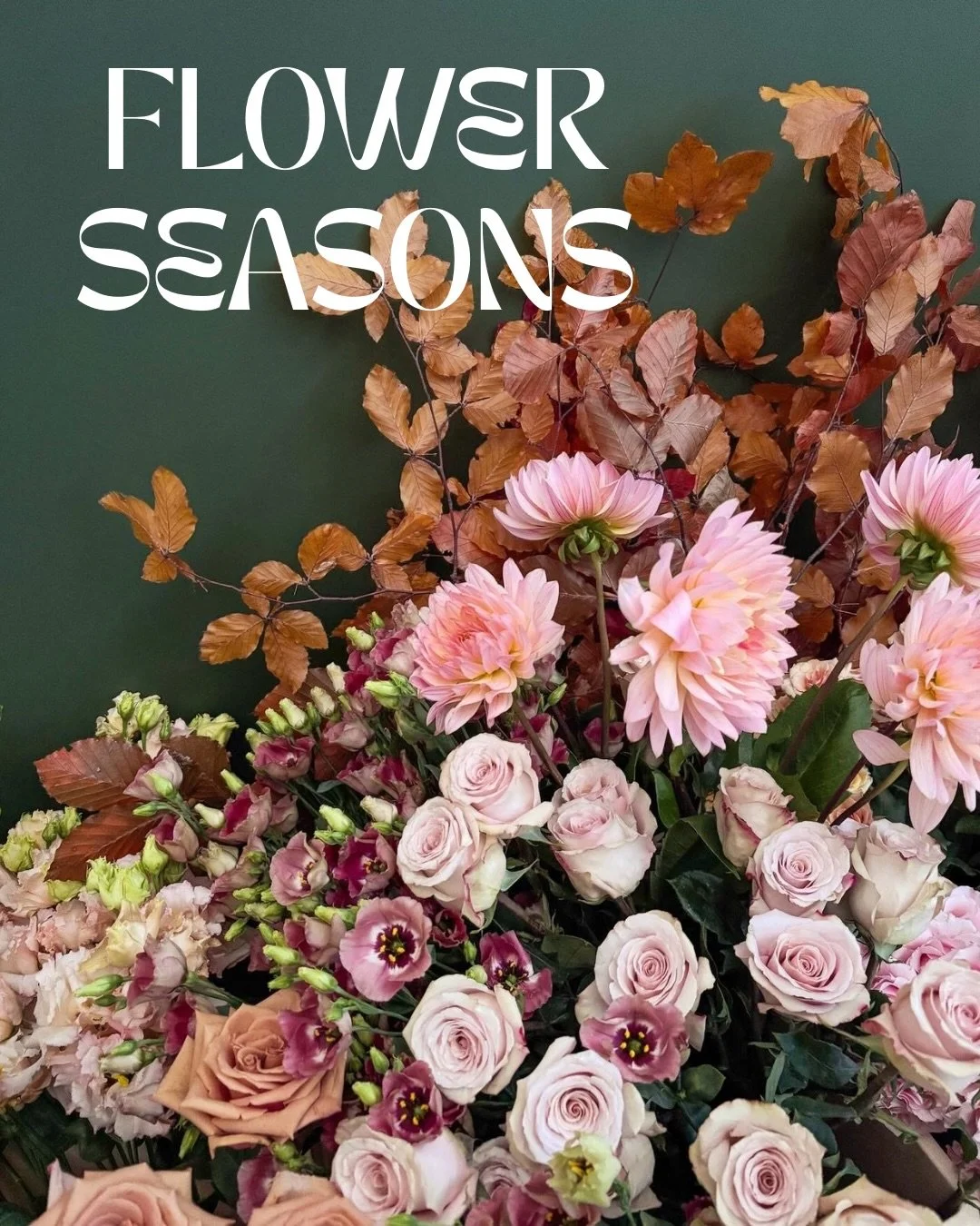 If you&rsquo;re planning your wedding flowers (firstly CONGRATS) you might wanna know which of those sought after blooms are in season for your big day 🌸

We&rsquo;ve compiled a quick breakdown of some of our fav florals for each season &amp; those 