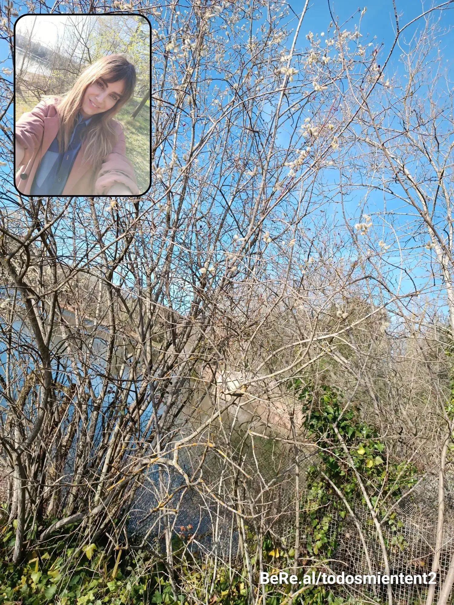 bereal-2023-03-28-1200 (2).jpeg