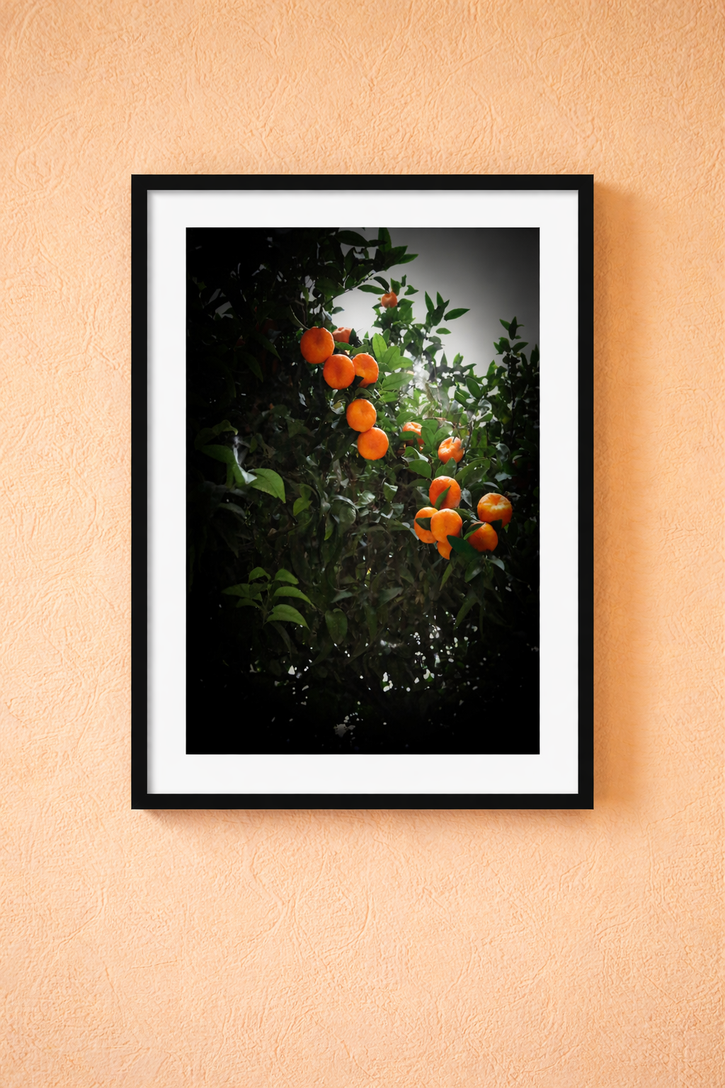 oranges-valencia-mockup .png