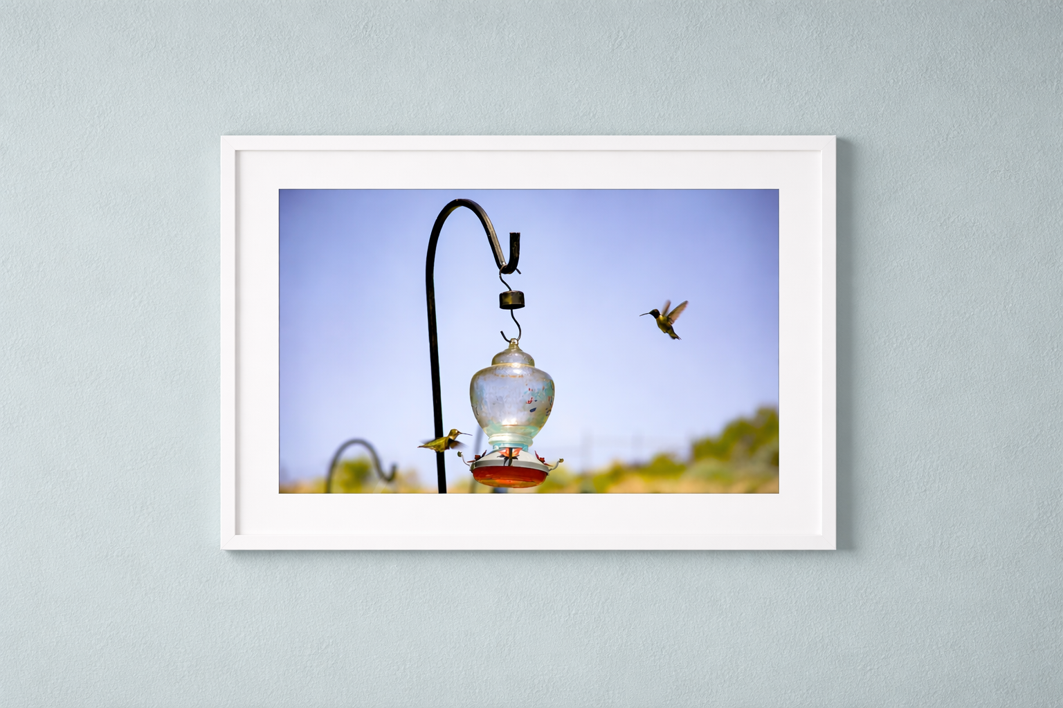 hummingbirds-utah-mockup.png
