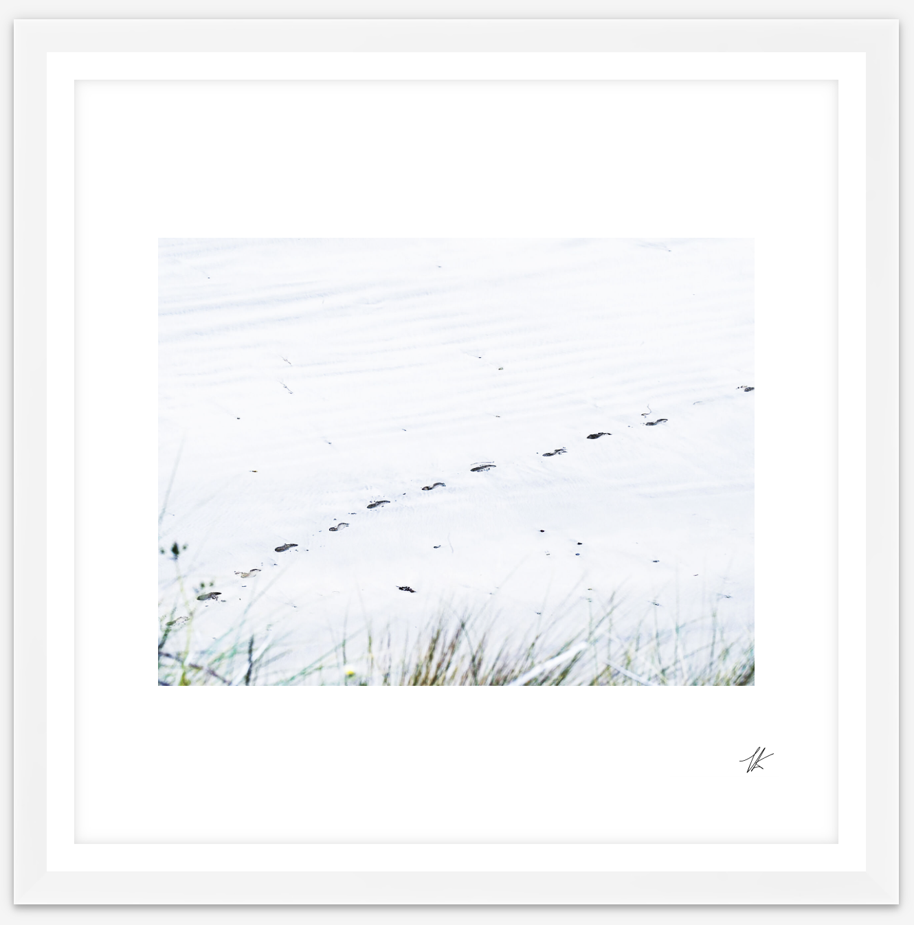 white-framed-square-print-cornwall.png