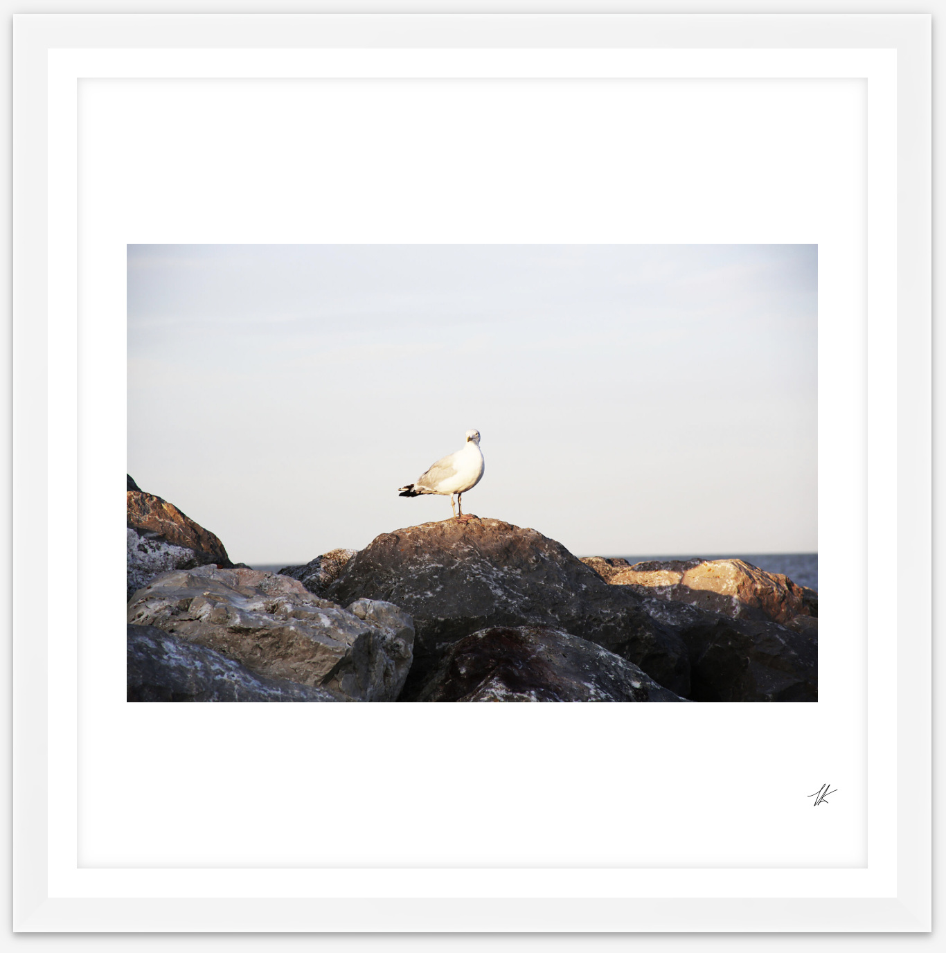 white-squared-print-nature-felixstowe-suffolk.png