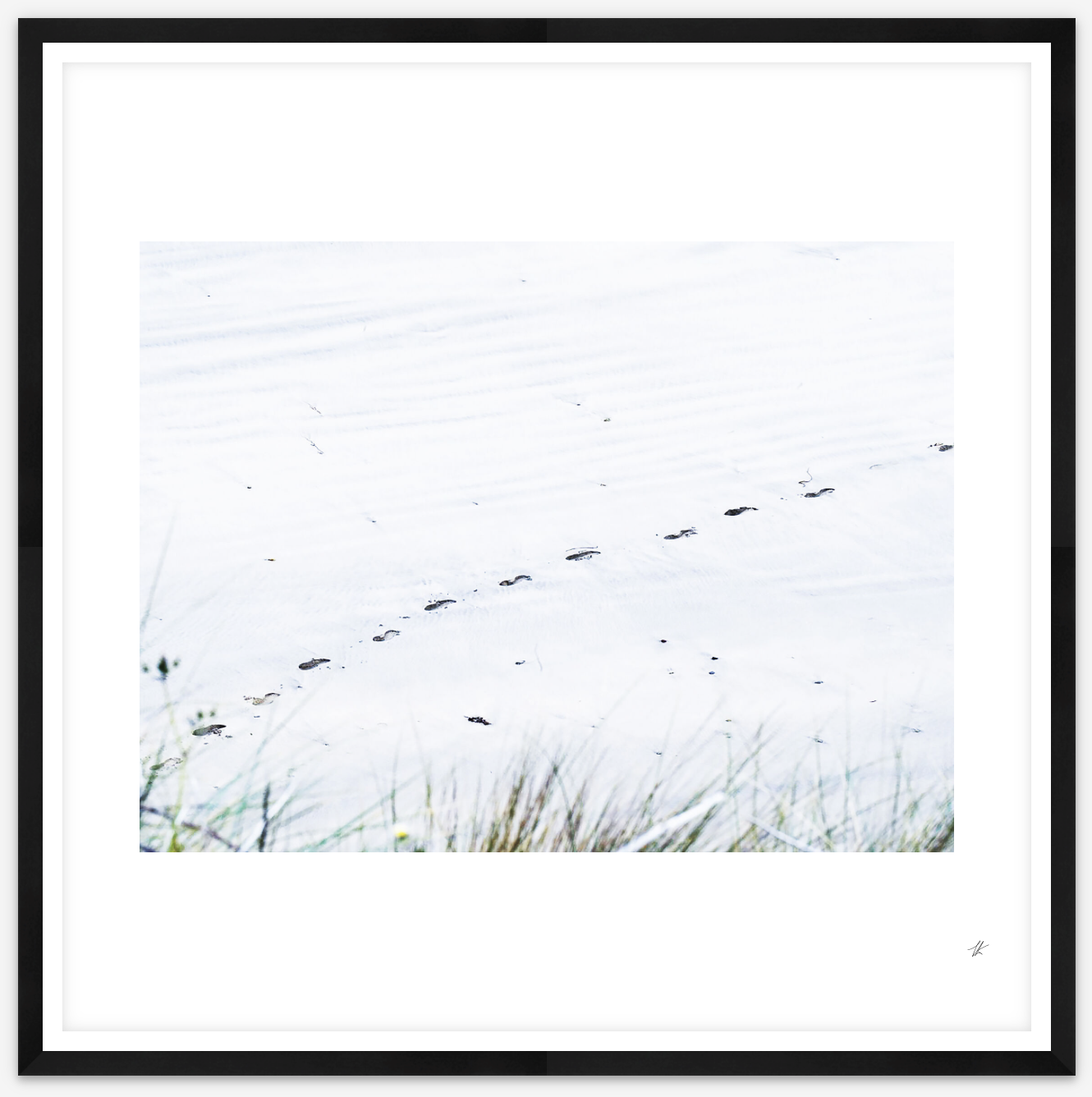 black-framed-square-print-cornwall.png
