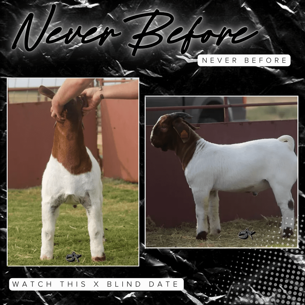 Buck Catalog — 5 Star Boer Goats