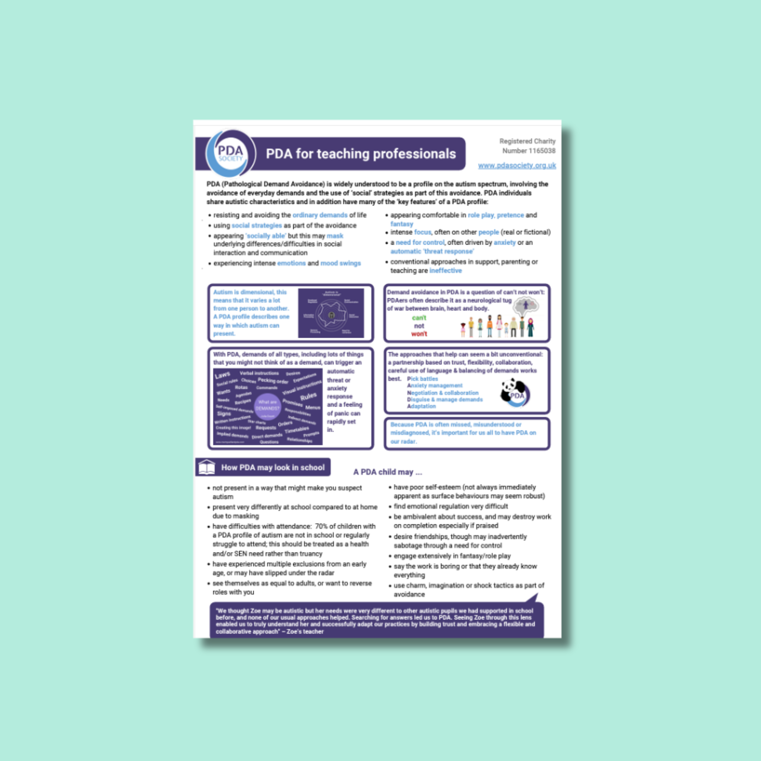 PDA Information Sheet for Teaching Professionals.png