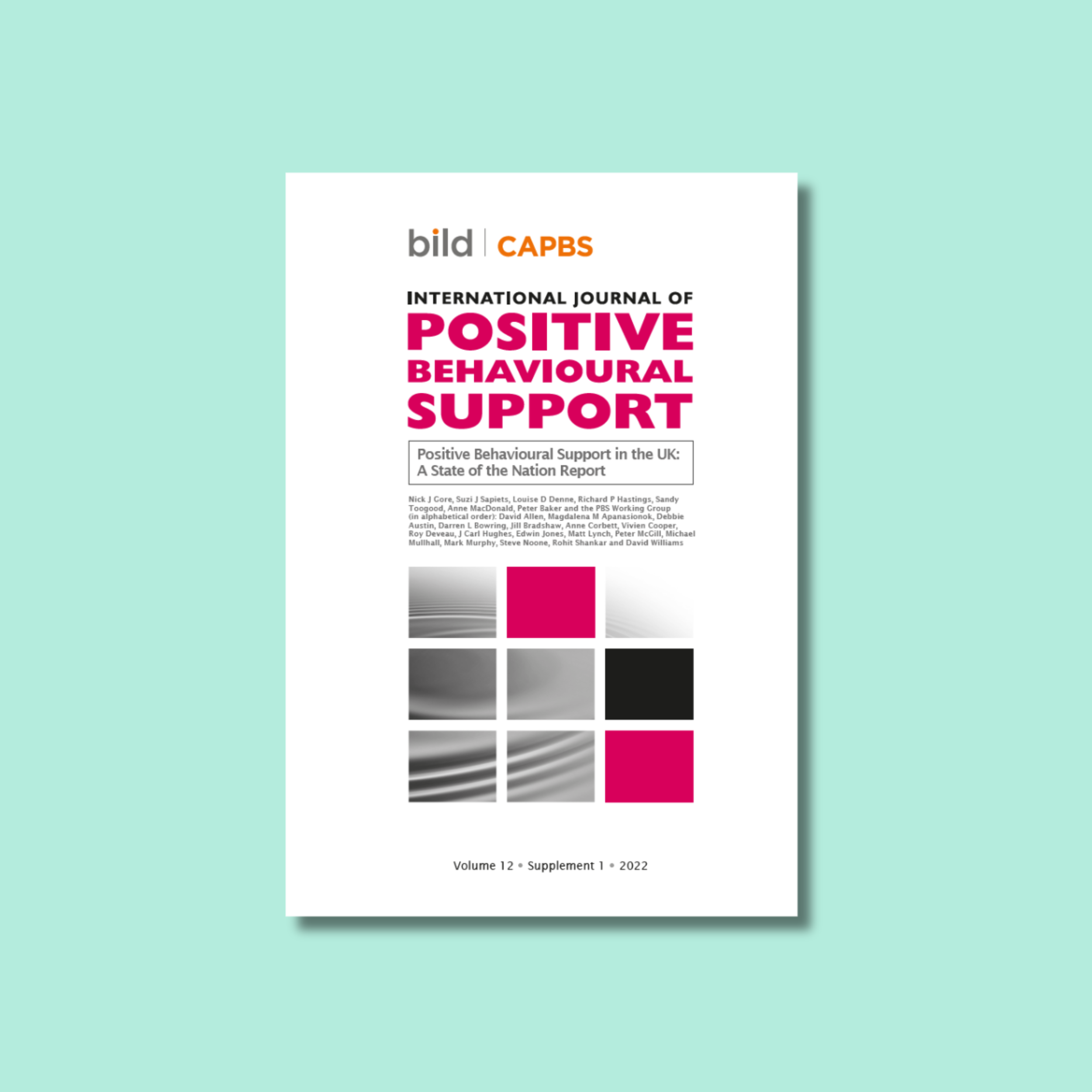 Positive Behavioural Support in the UK A State of the Nation Report.png