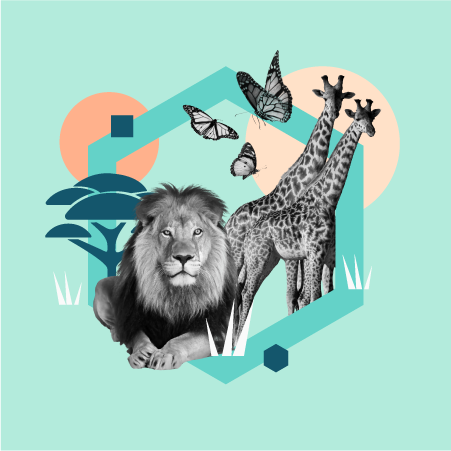 Neurodiversity: An introduction