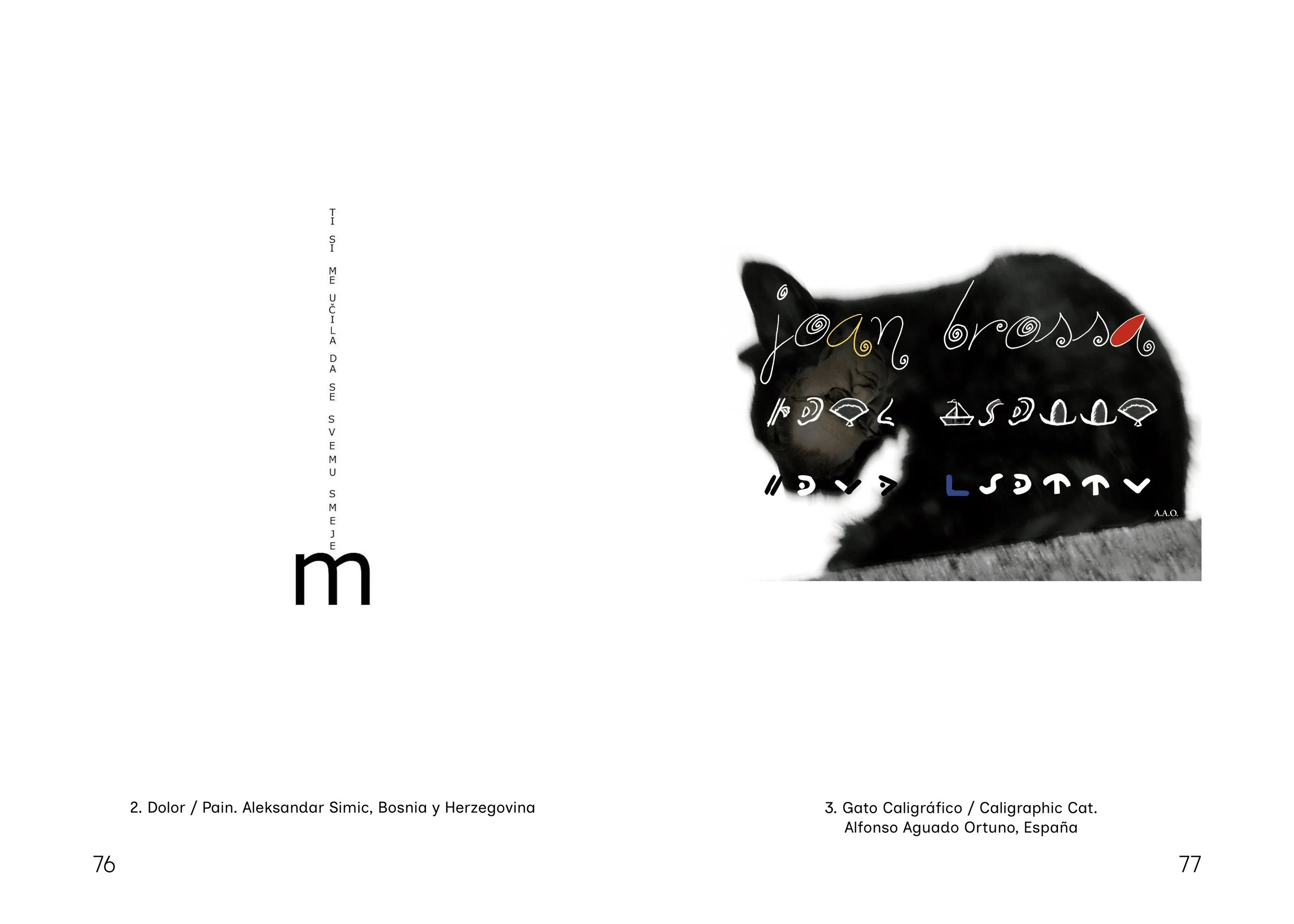 VisualPoetry-Spread-2.jpg