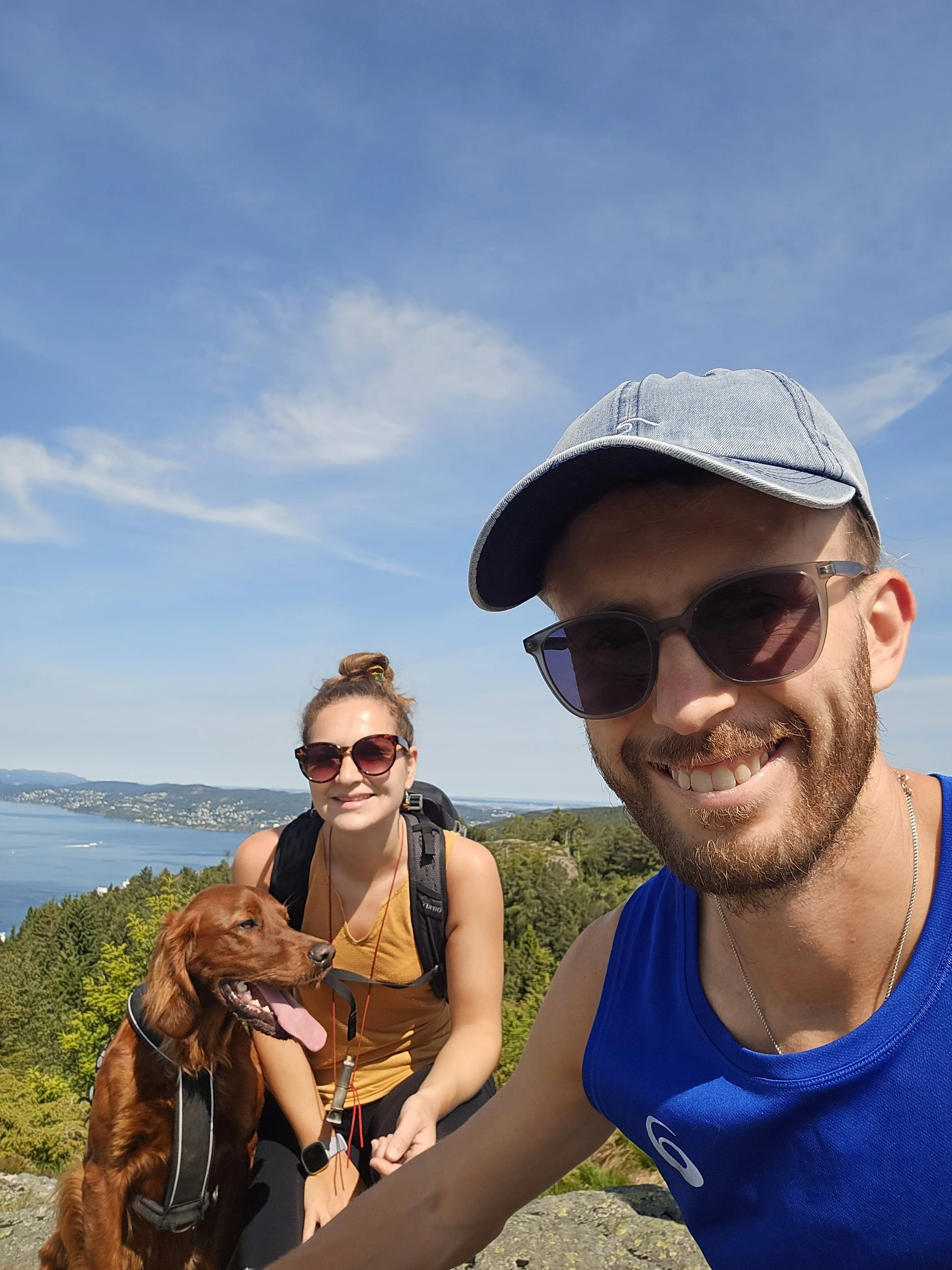 Can You Get Paid to Housesit?