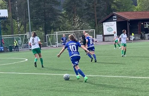 Videre i cupen