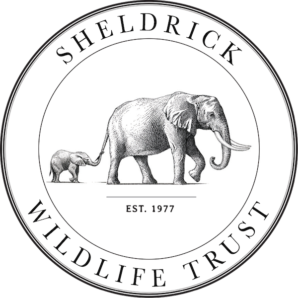 Sheldrick Wildlife Trust Eco Lodges