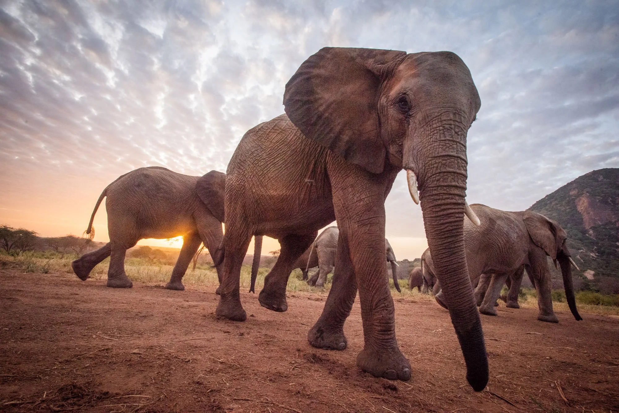 LR TsavoEdit_Jan22-173.jpg