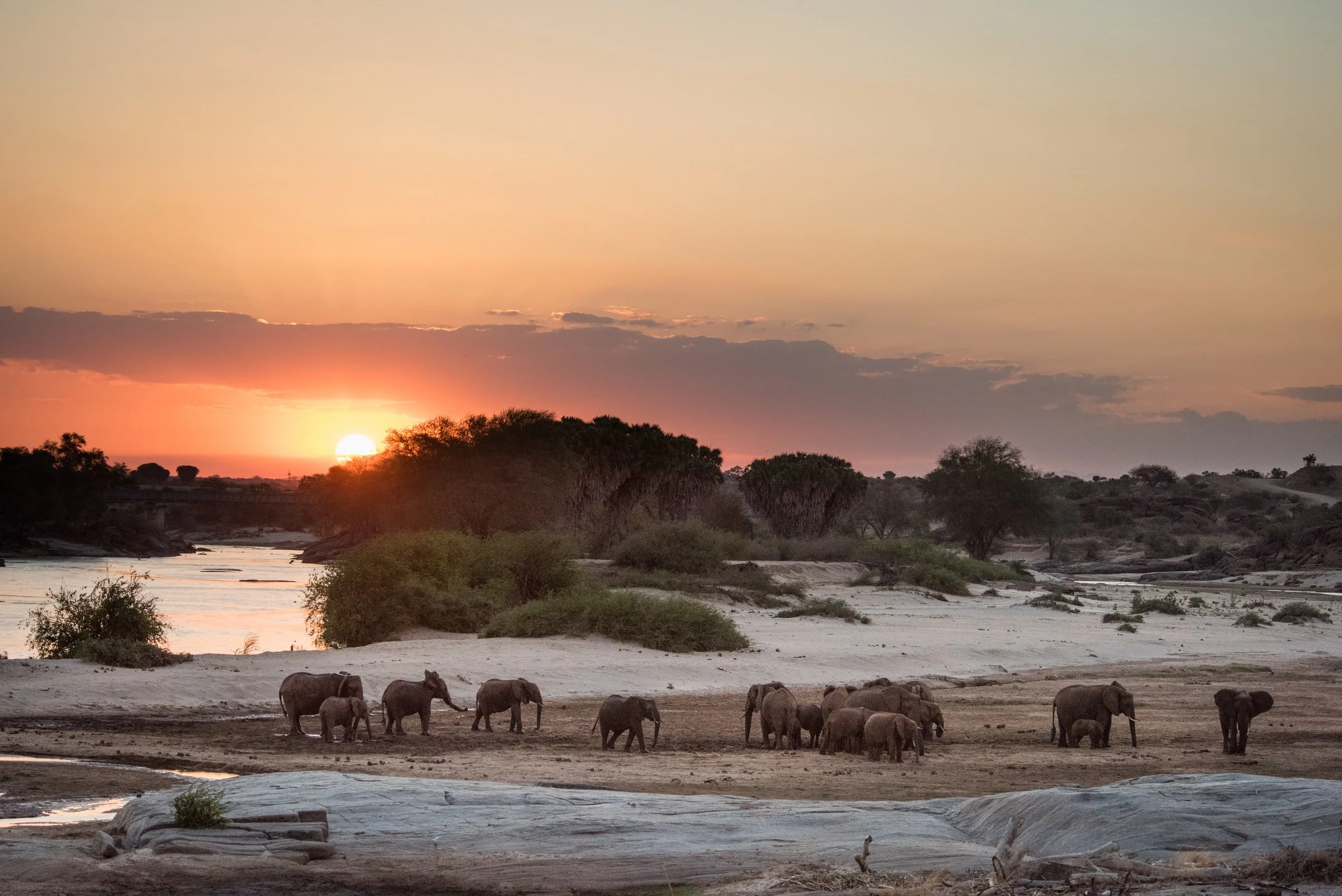 Galdessa_Kaluku_Oct 2020-5.jpg