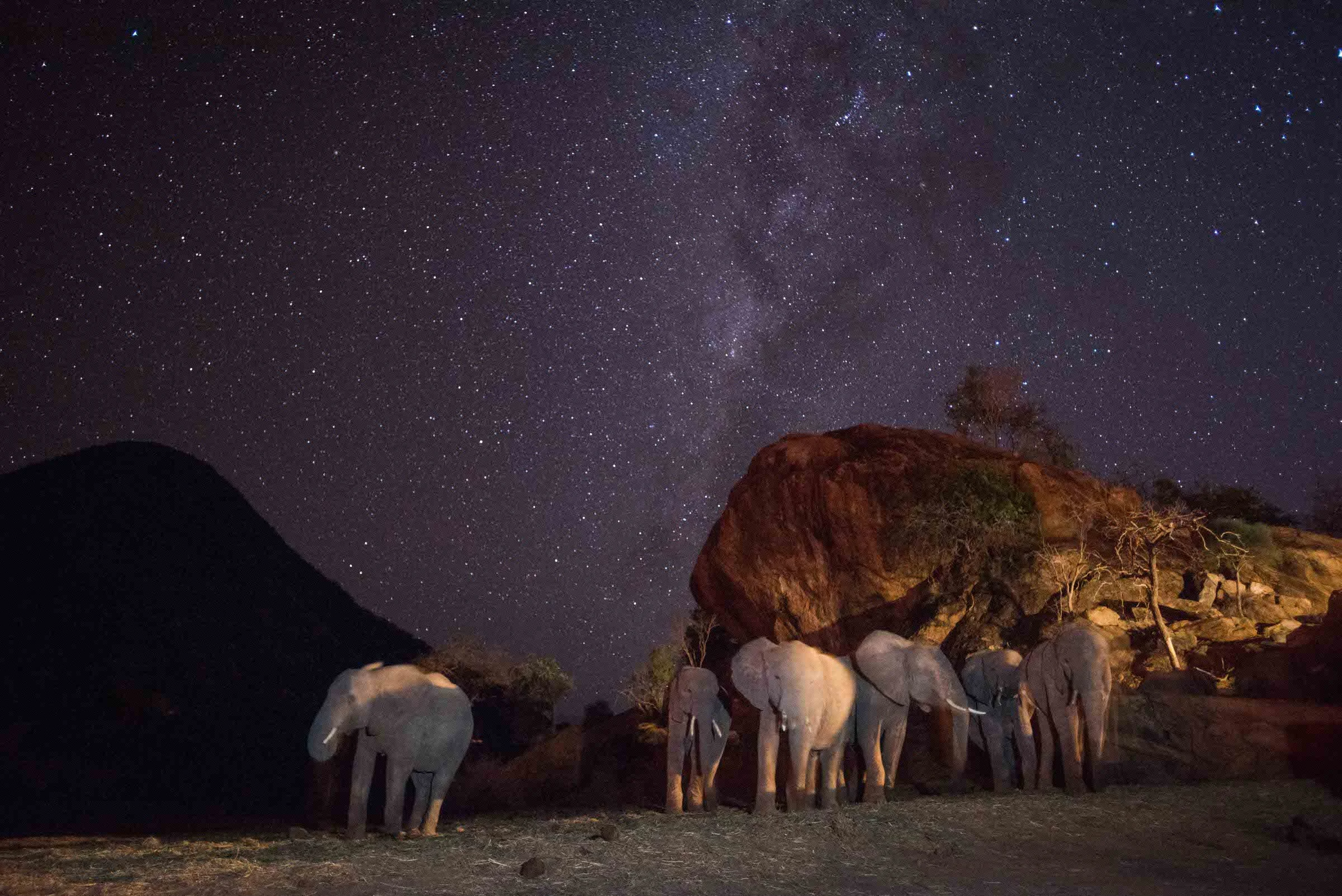 Sept19_(Mia Collis_Sheldrick_book2)-29.jpg