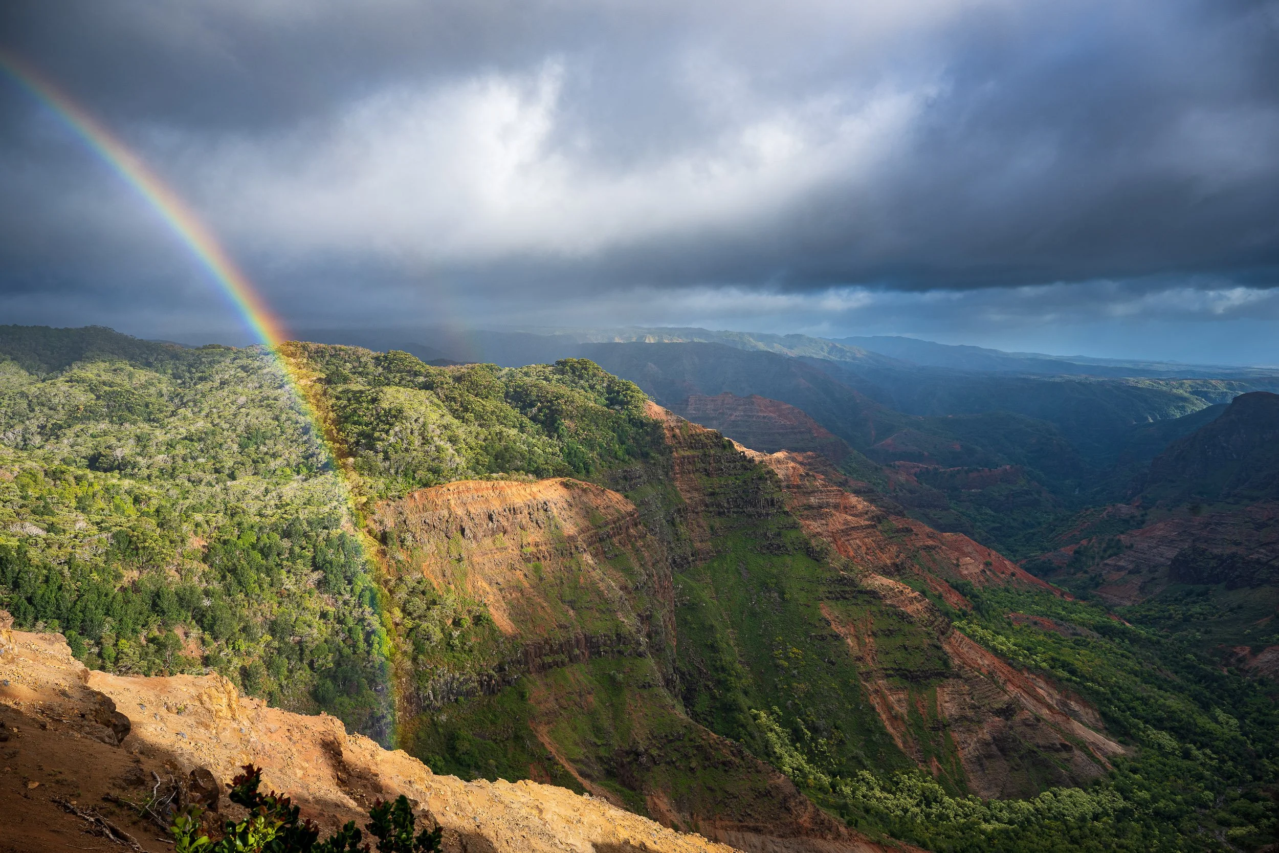 Hawaii-2025-Waimea-Rainbow-Matte.jpg
