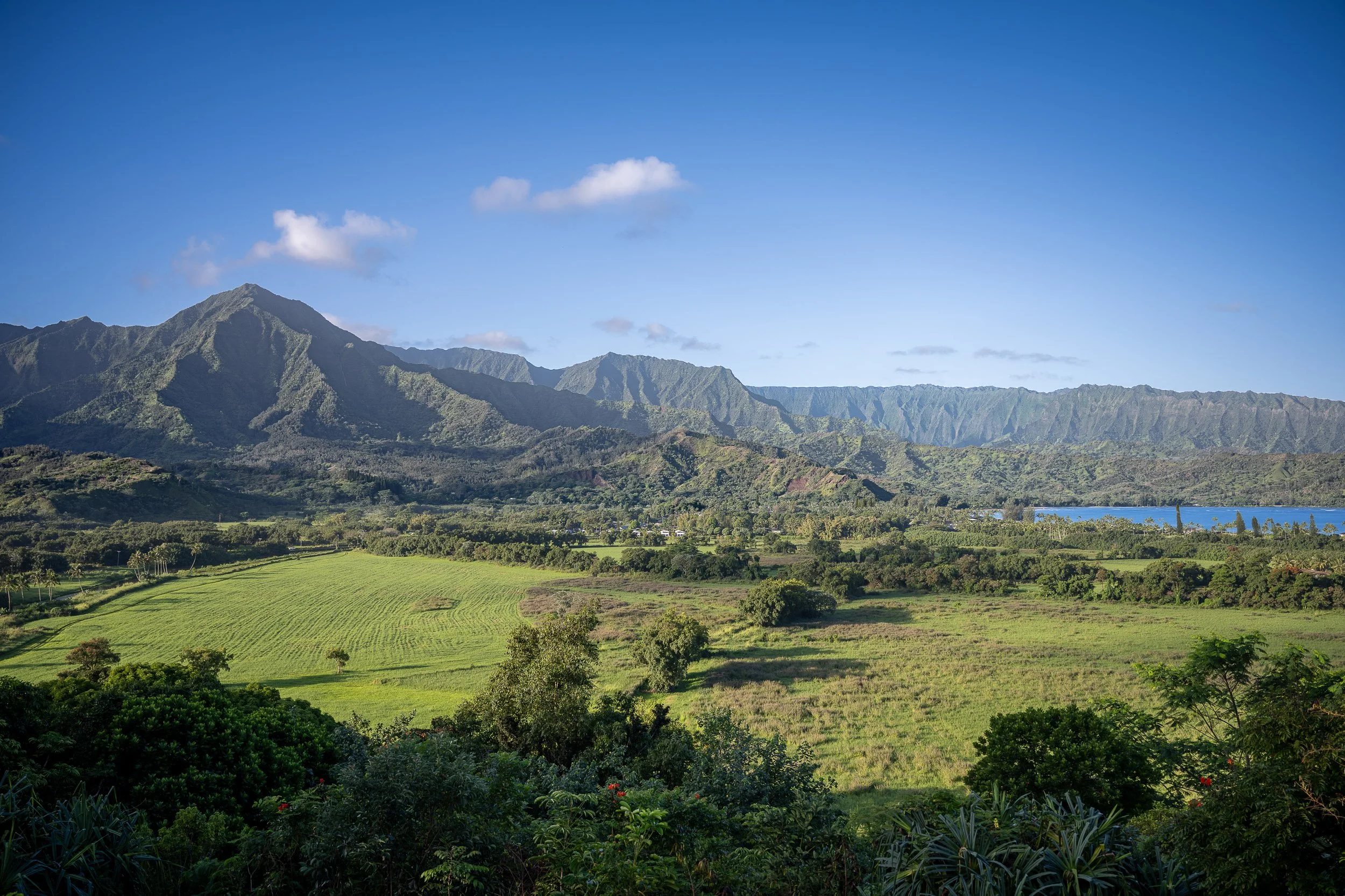 Hawaii-2025-Princeville-Farms-Matte.jpg