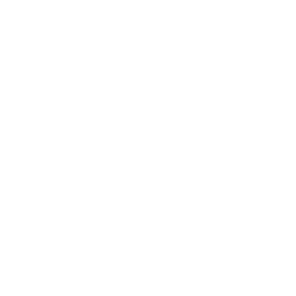 Greenview Holdings