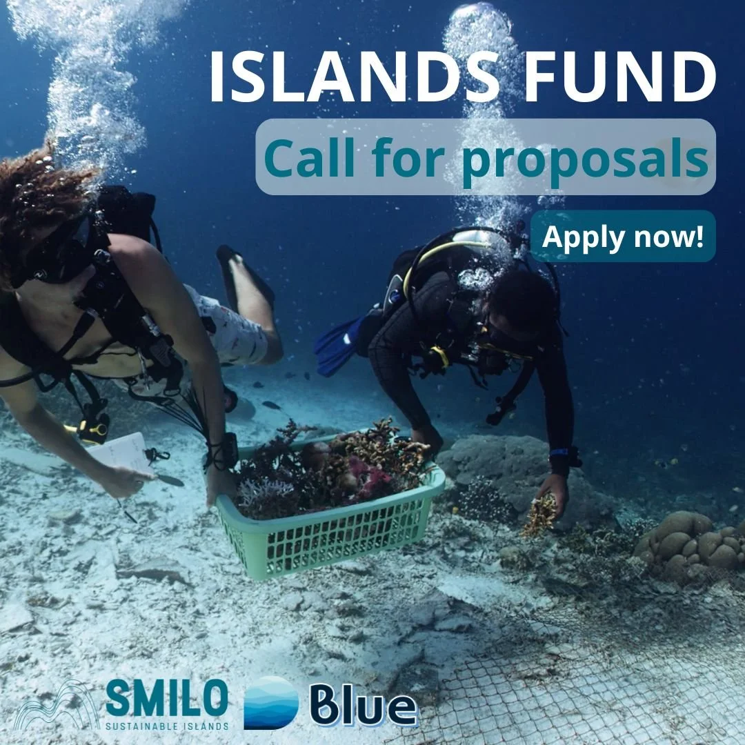 Call for proposals Blue x SMILO new visual 7.jpg